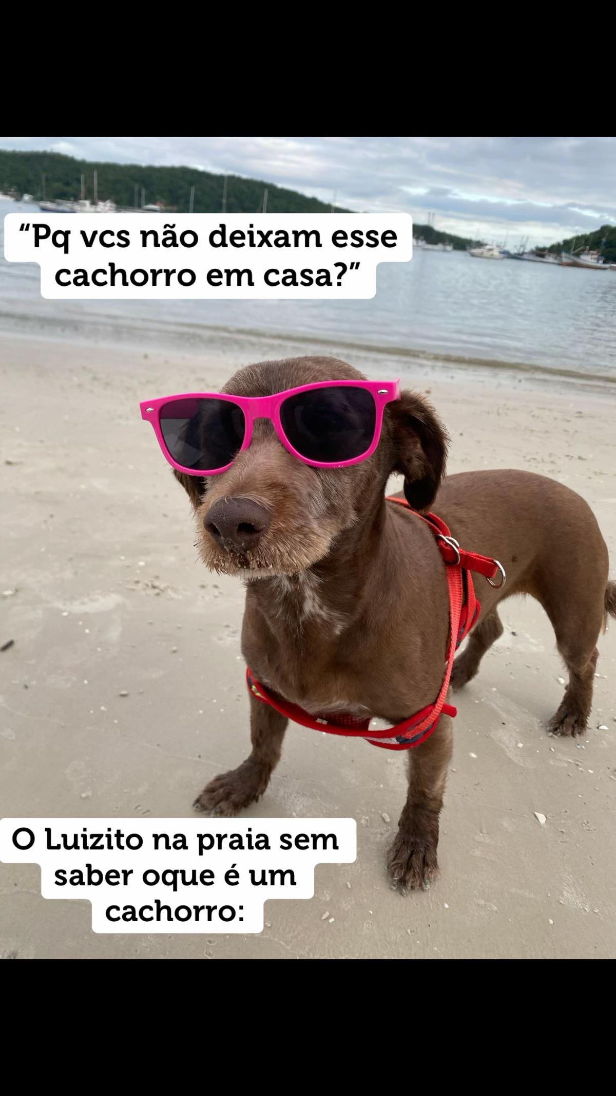 @Bruna Floriano