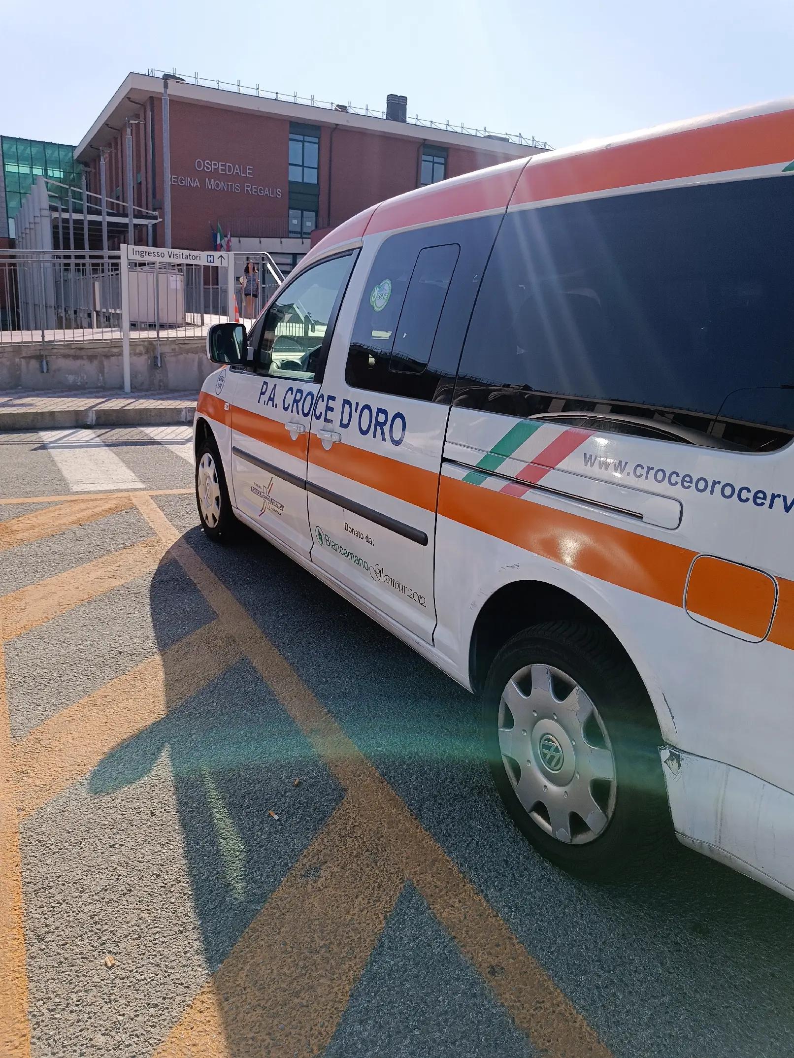 @OroCervo