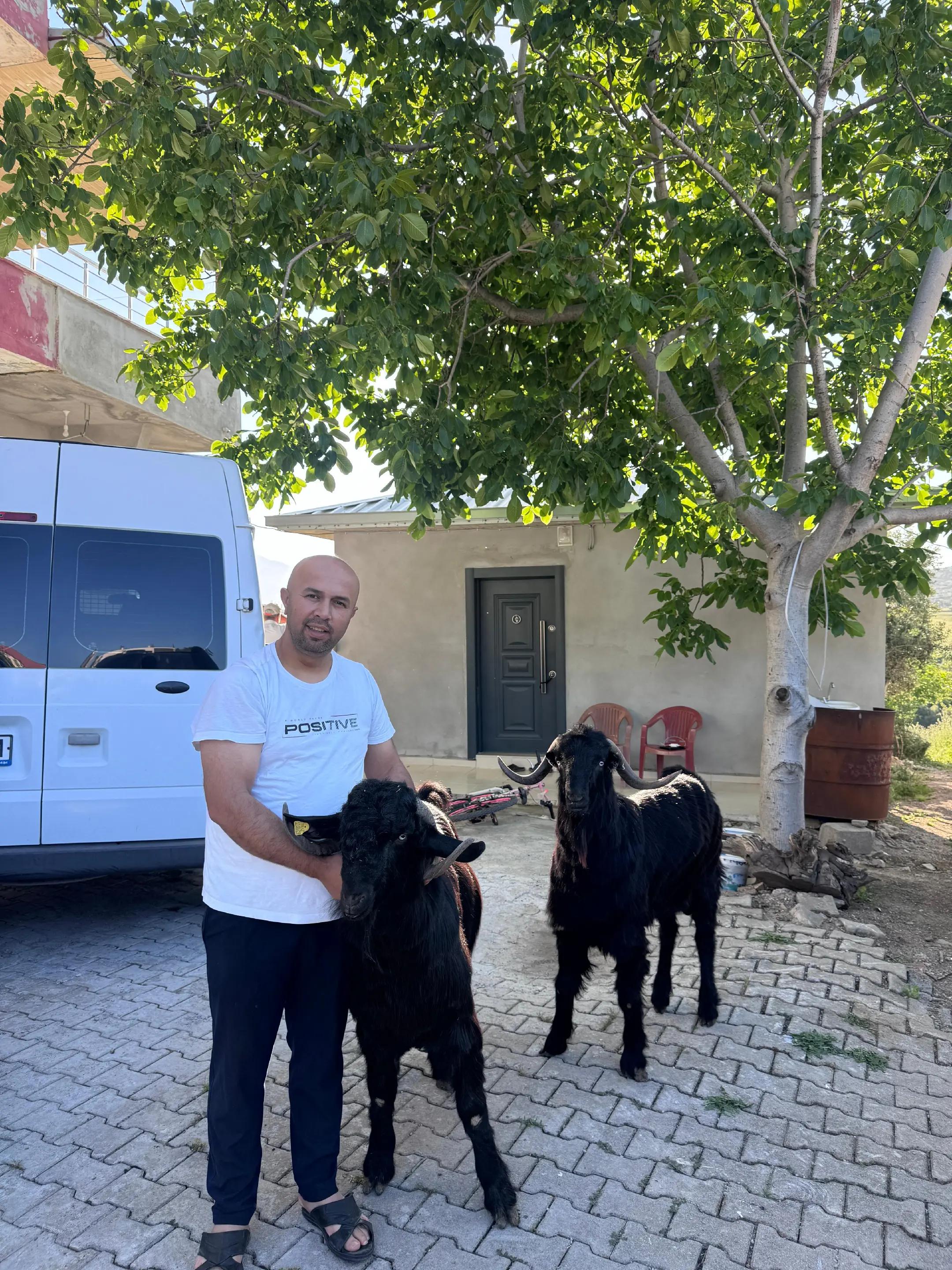 @Eshabil Y&uuml;ce