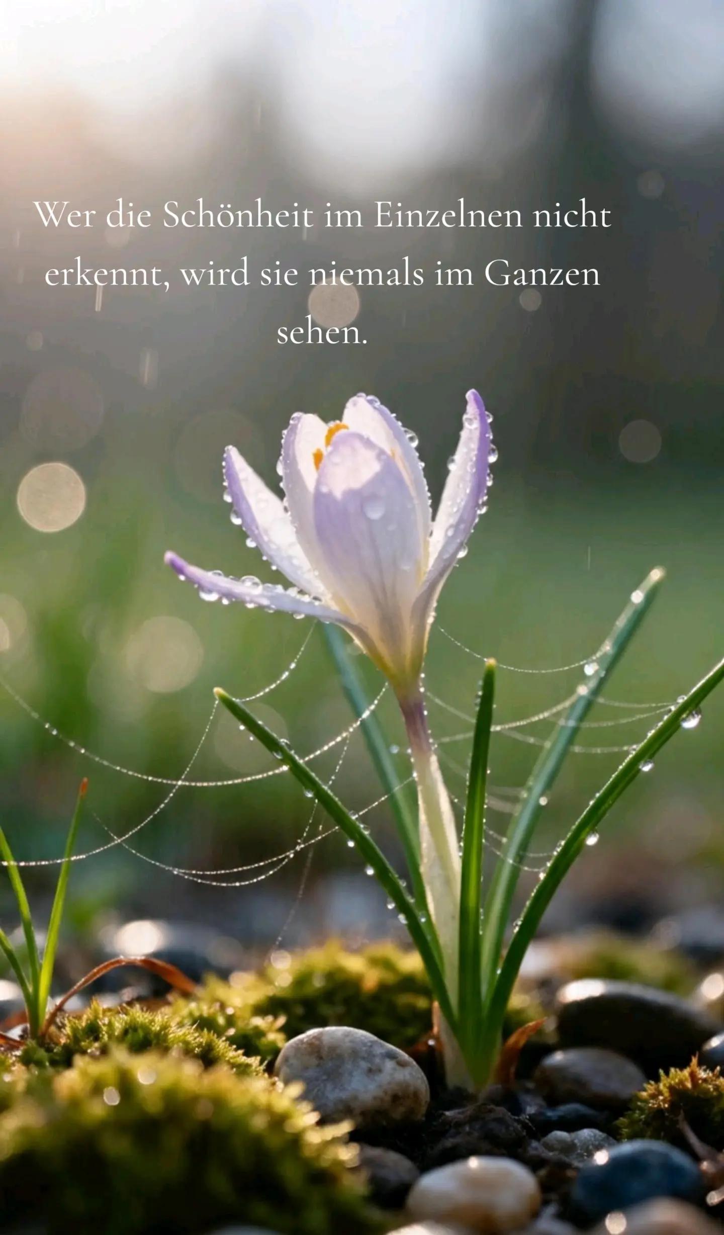 @𝙂𝘭𝒐𝐰𝗡𝐚𝘁𝙪𝐫𝒆𝑨𝗿𝘁 ❀