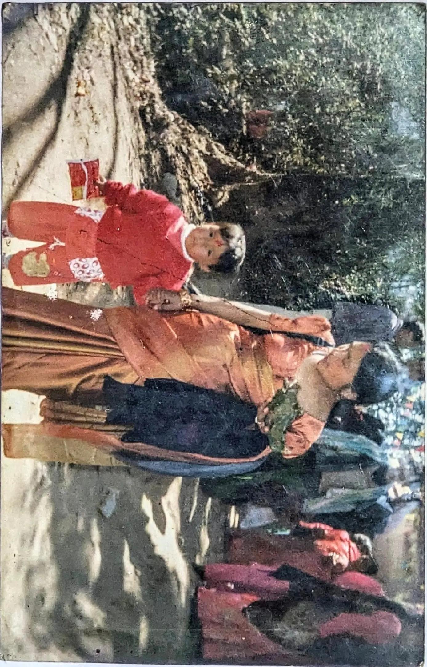 @ममता