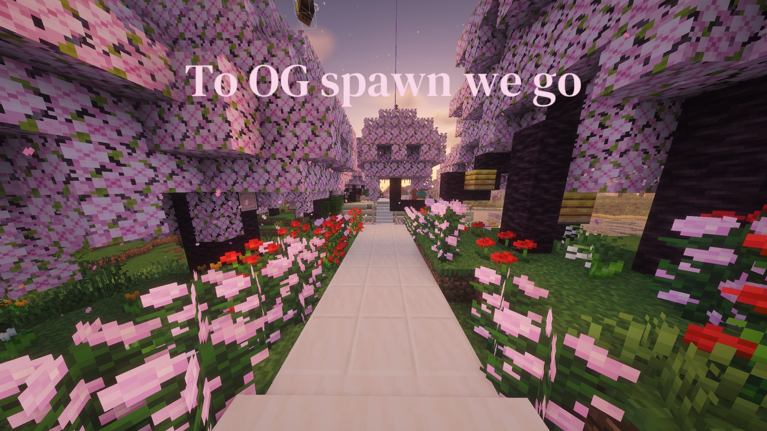 @The Lunar Smp🌙