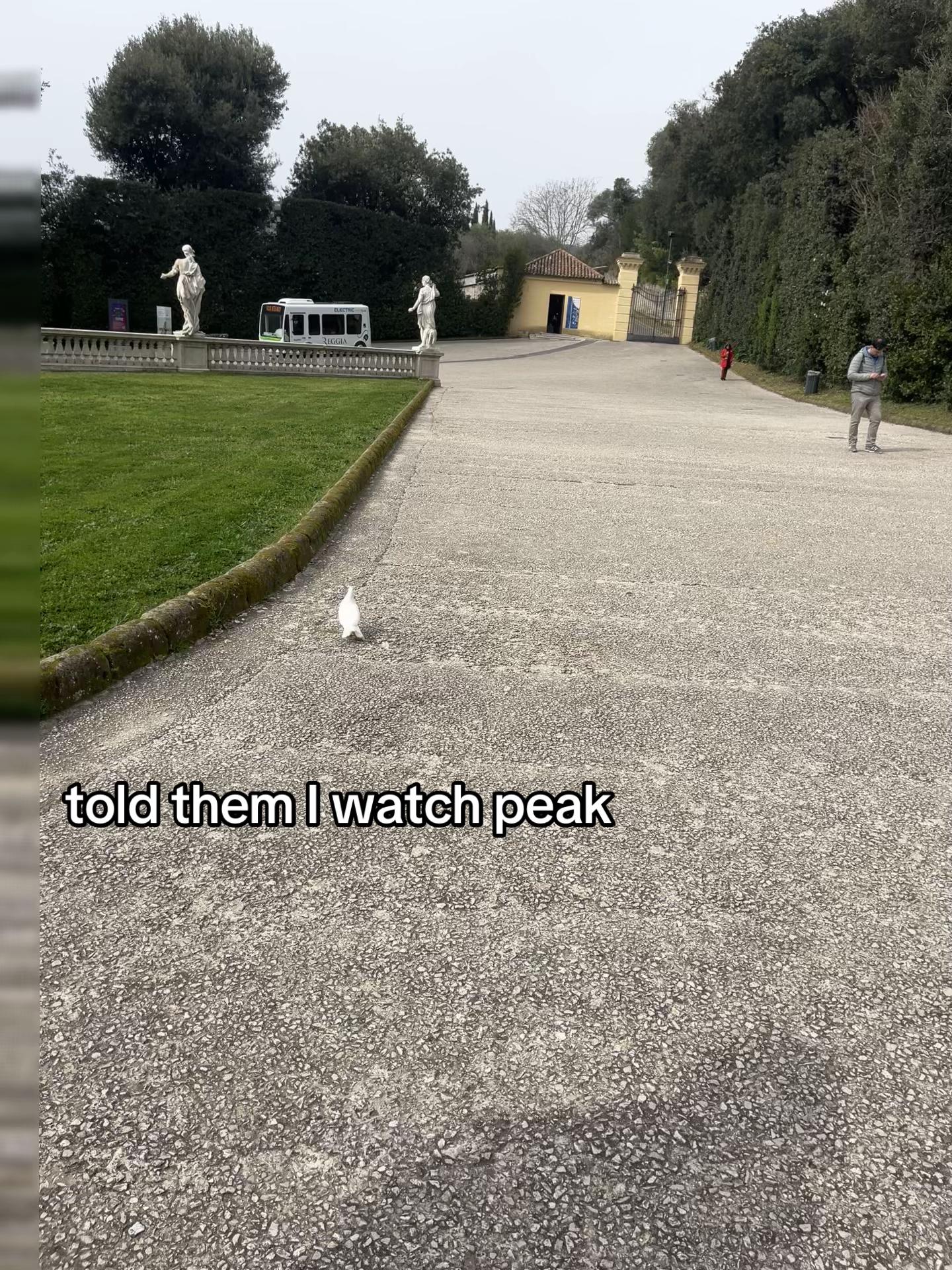 @𝓐.