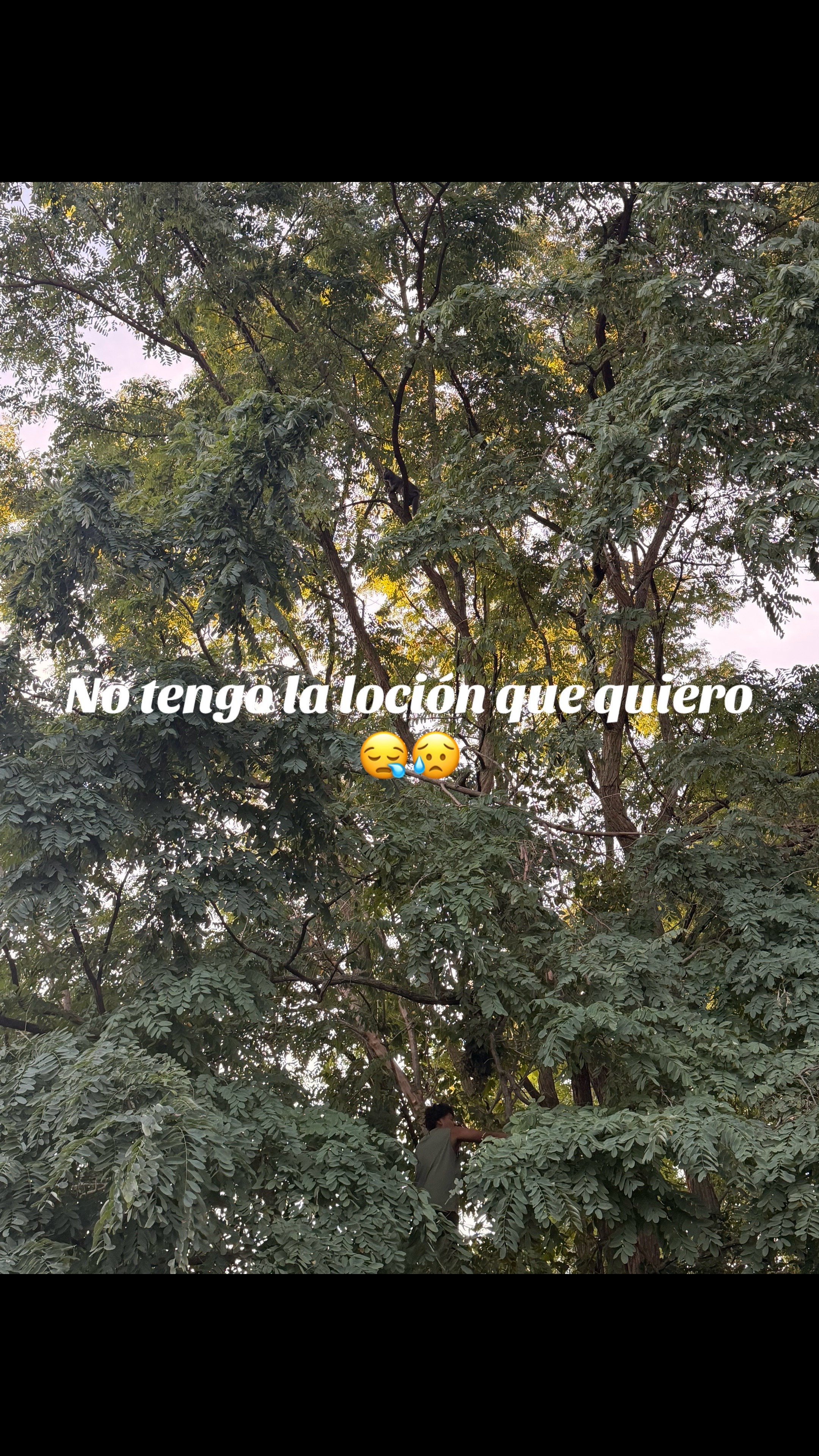 @Johanna Ventura⚡️♾️