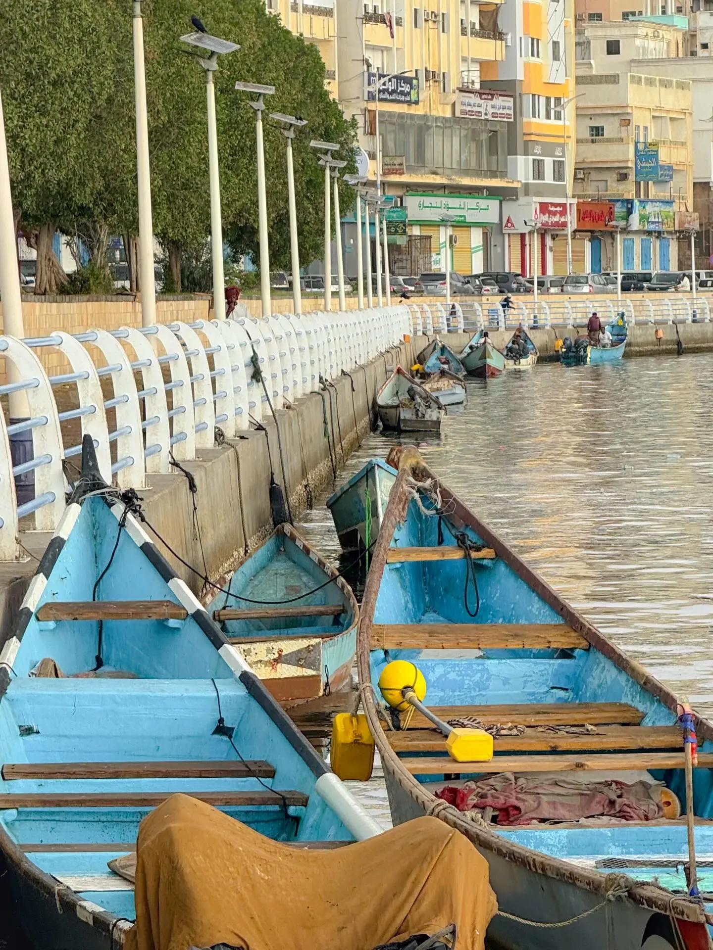 @علي باهبري|ALI BAHBRY