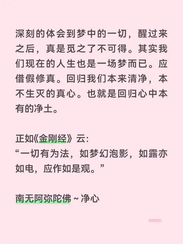 @净心