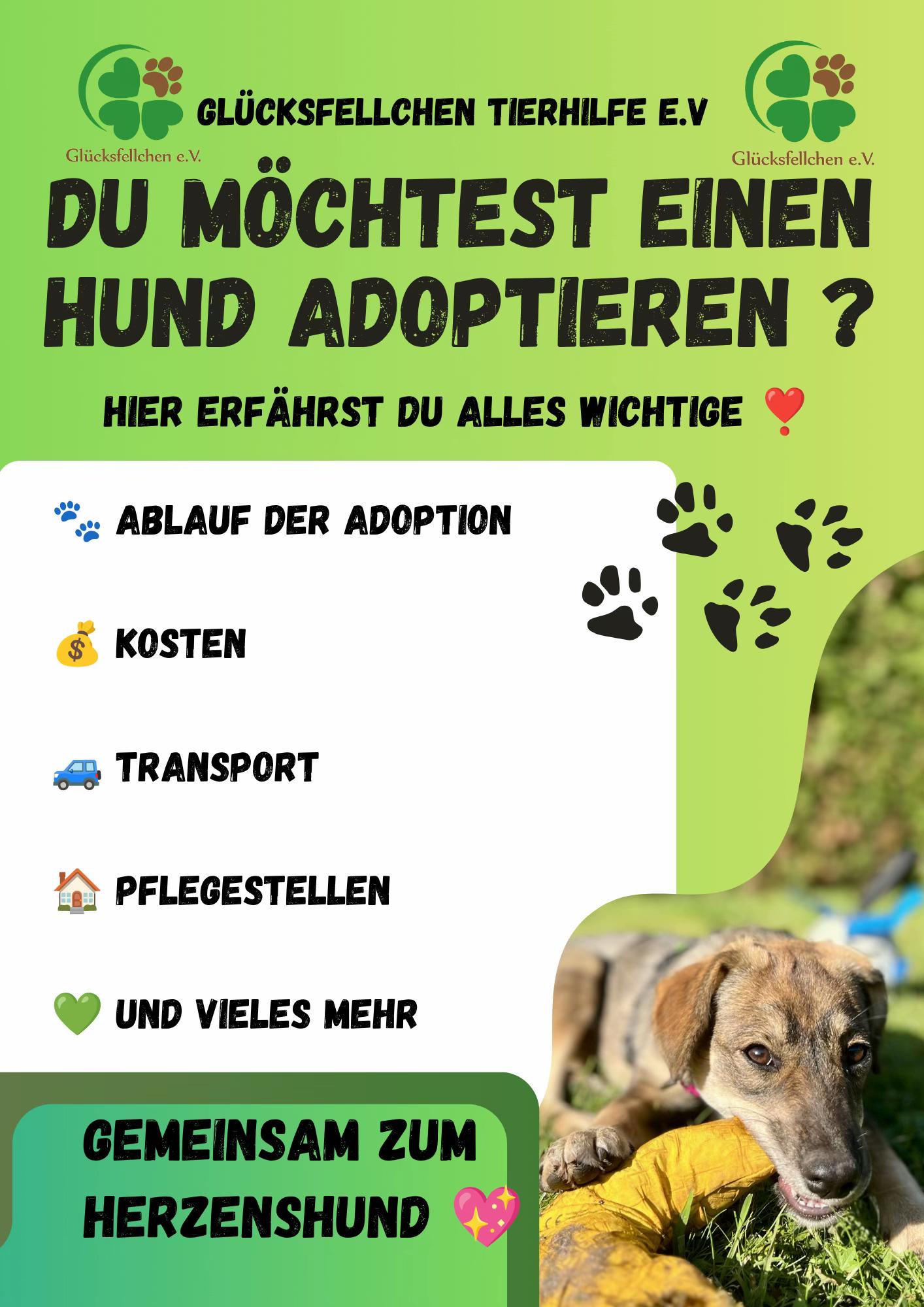 @Glücksfellchen Tierhilfe e.V.