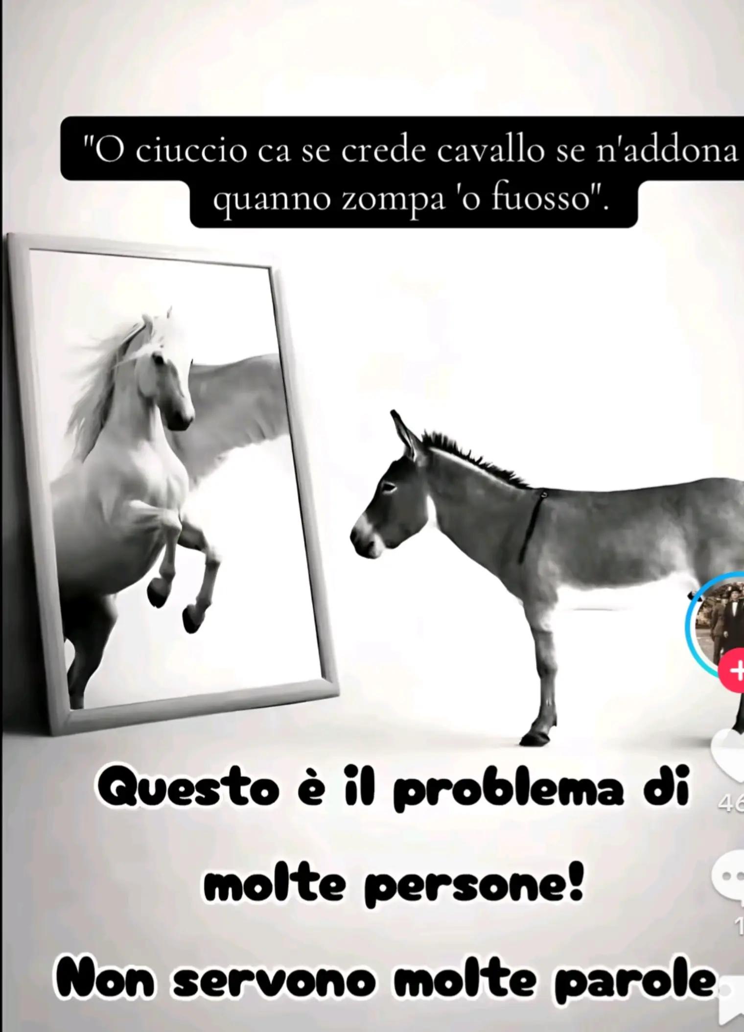 @Antonella