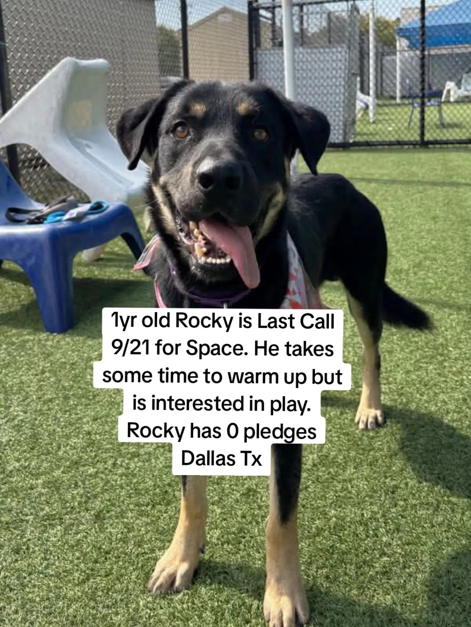 @Harley and Benny Find Backup