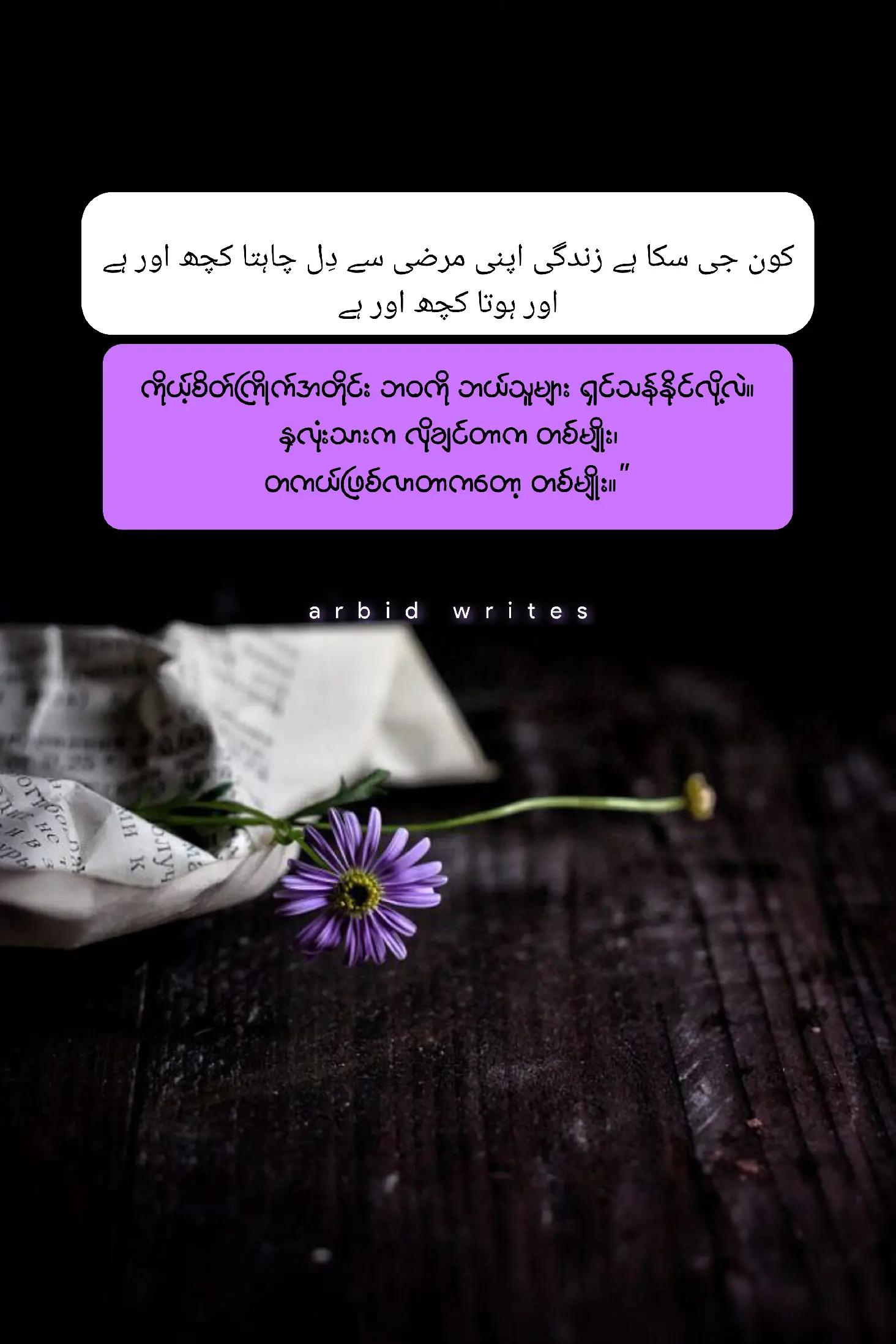 @Arbid Khan