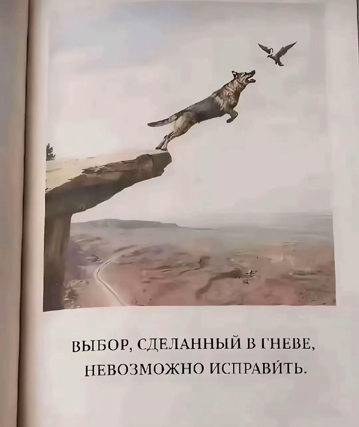 @𝐍𝐎𝐌𝐈ᵀᴱᴬᴹ