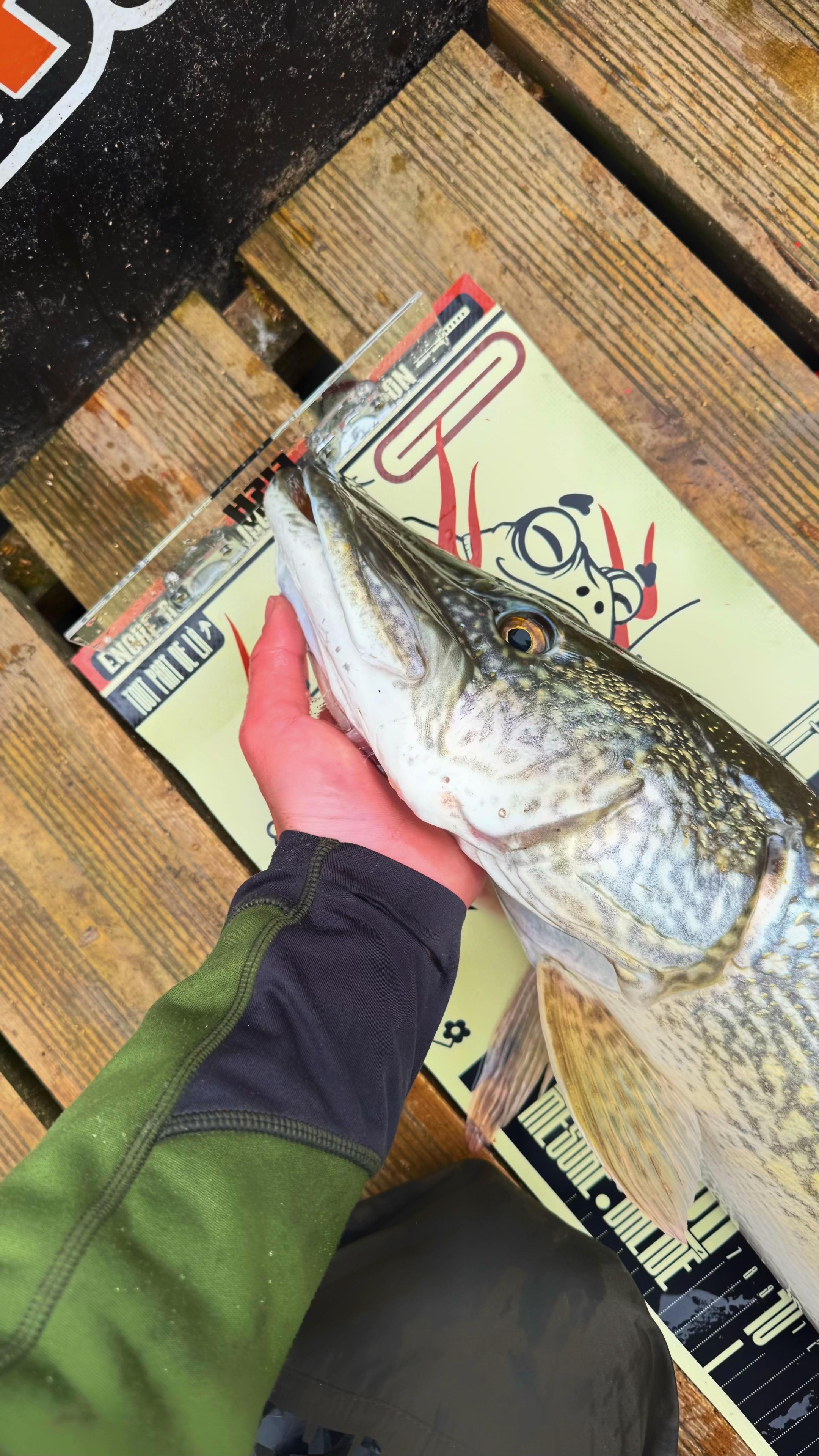 @Julien_.fishing_