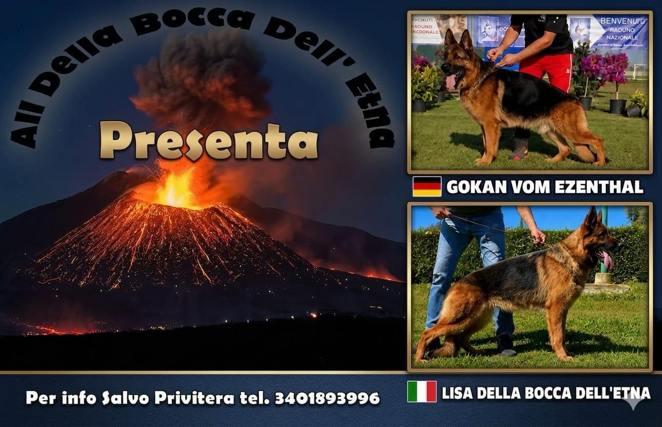 @Salvo Privitera