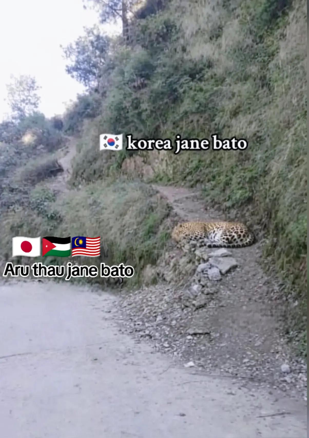@꿈 한국🇰🇷🇳🇵