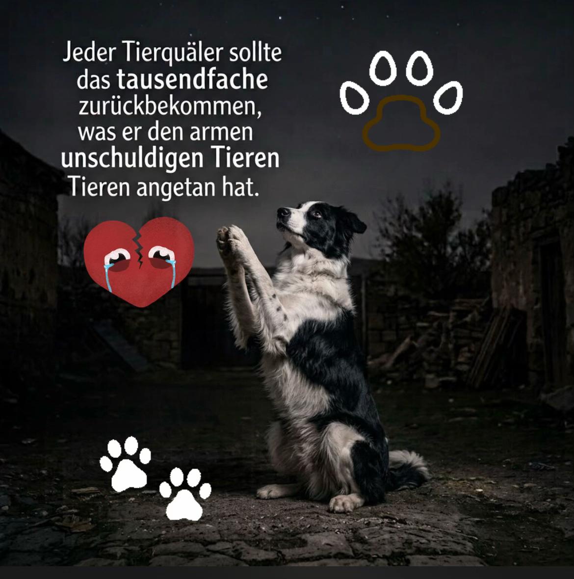@Lua Team🐈🐕🦺Löwenherz❤️🦁