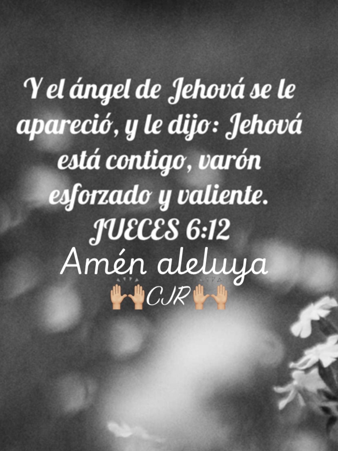 @𝓒𝓮𝓵𝓼𝓪🕊️