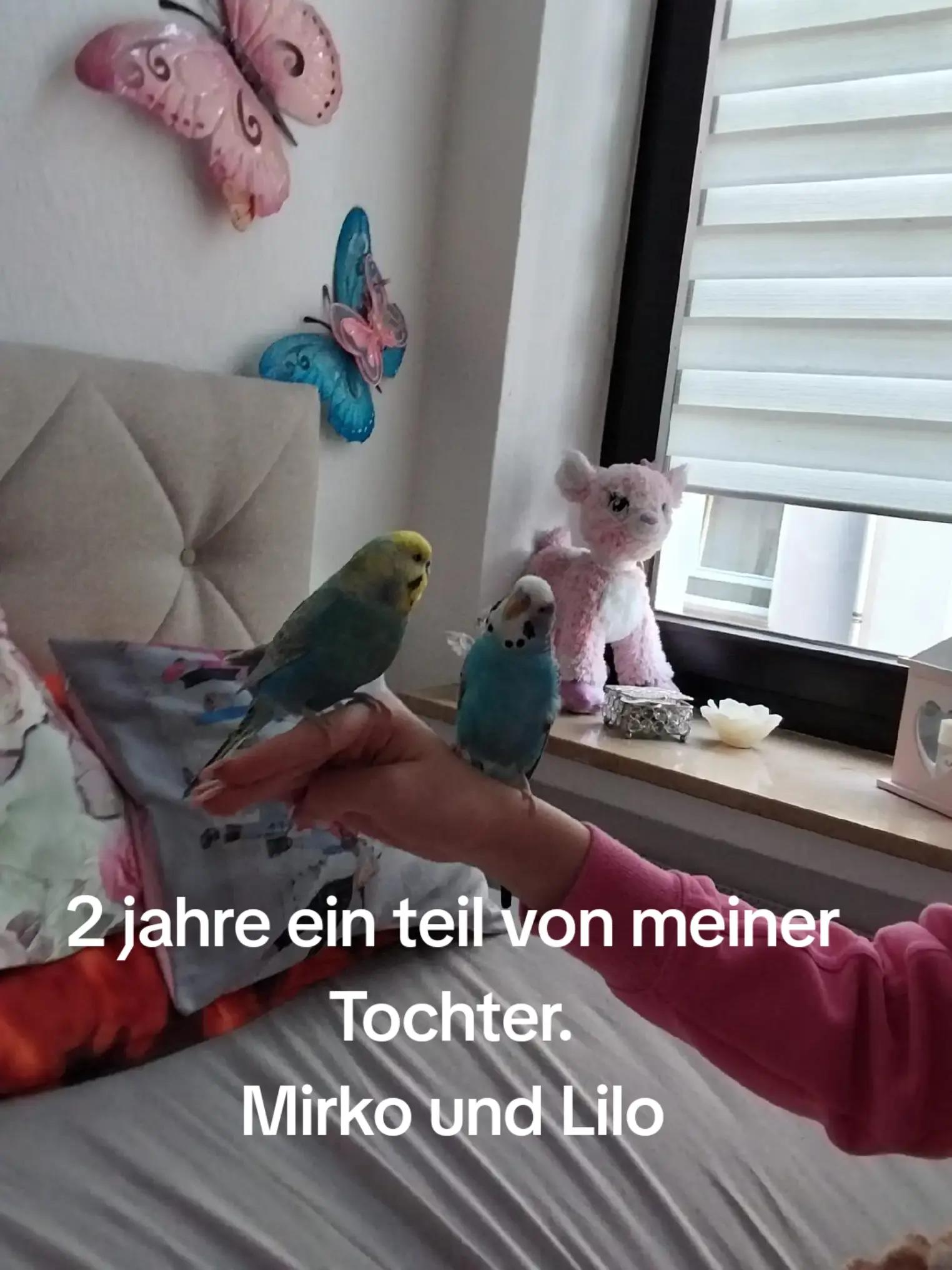 @Crogirl41