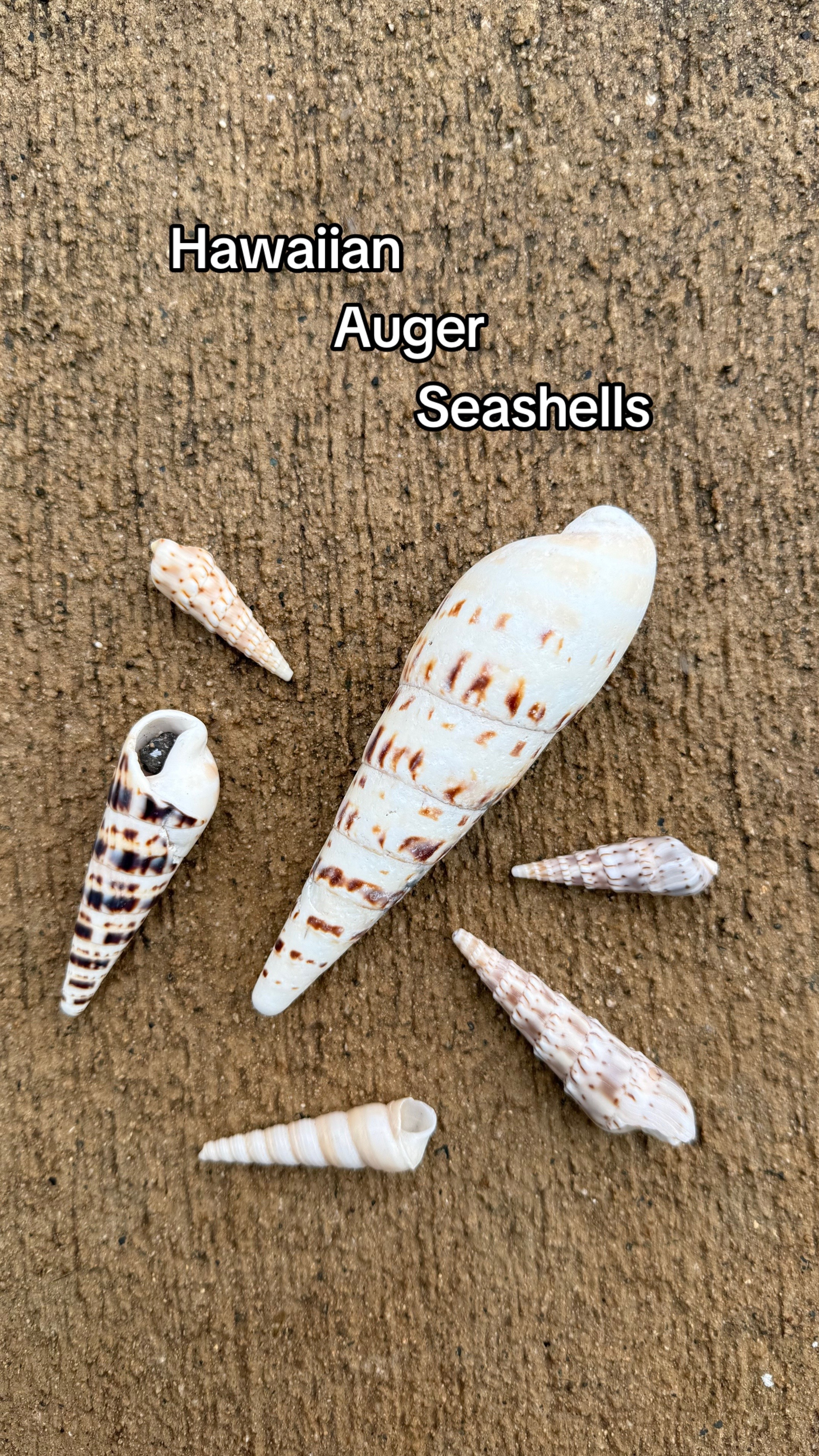@hishellguy