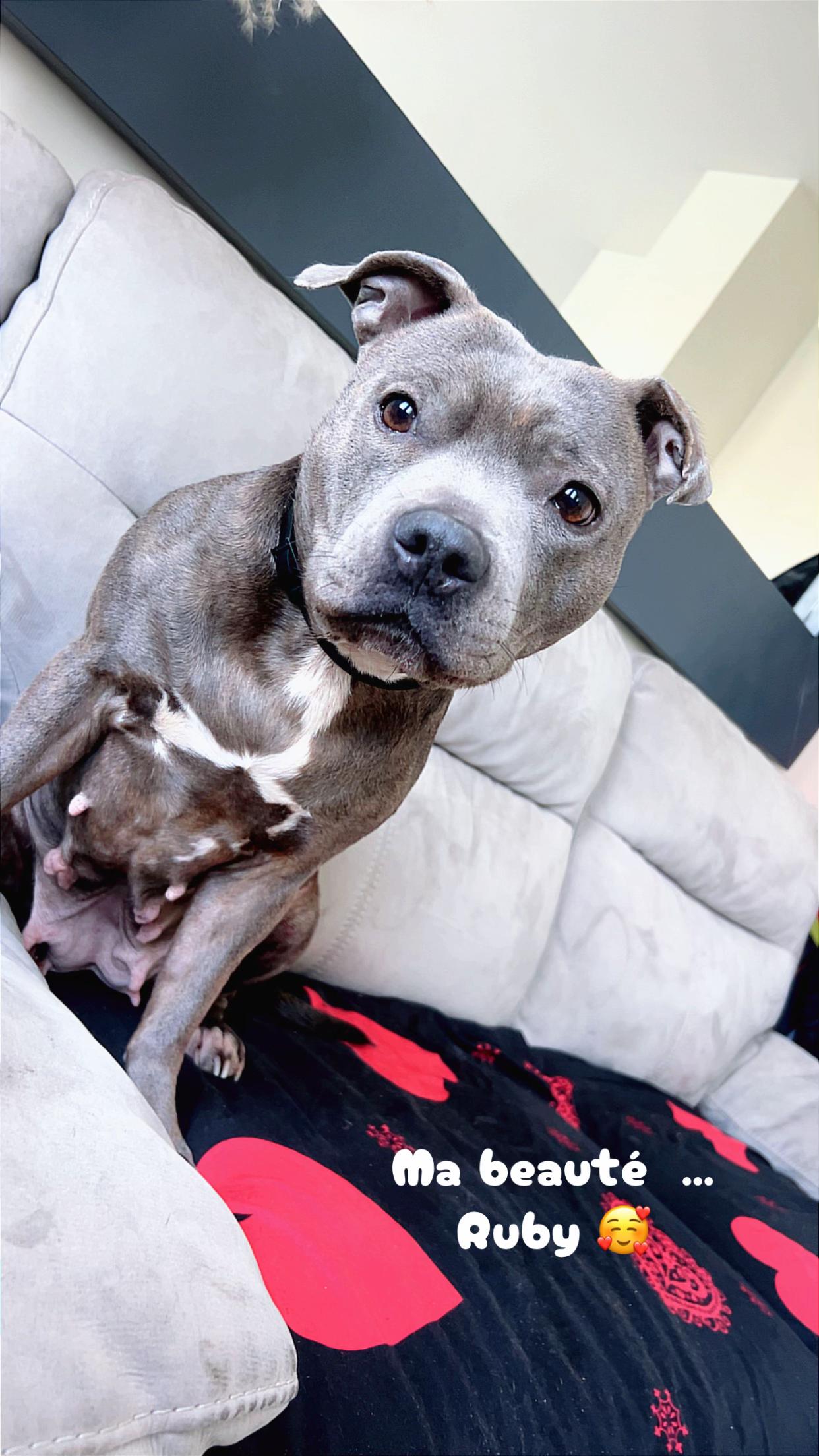 @rubylove_staffie94
