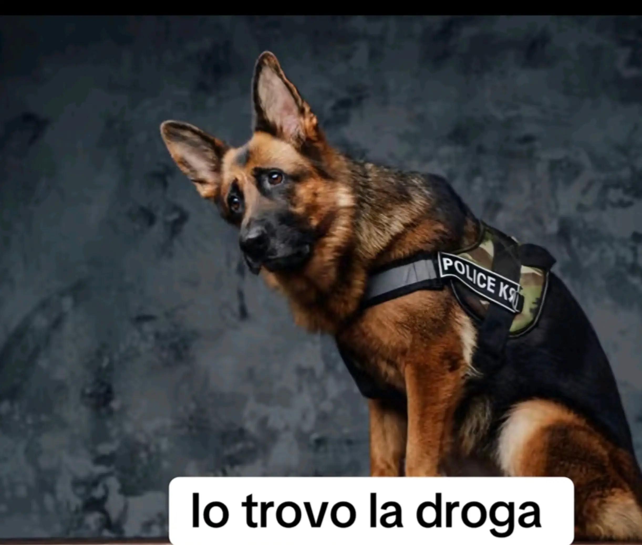 @Melissa Andreoli