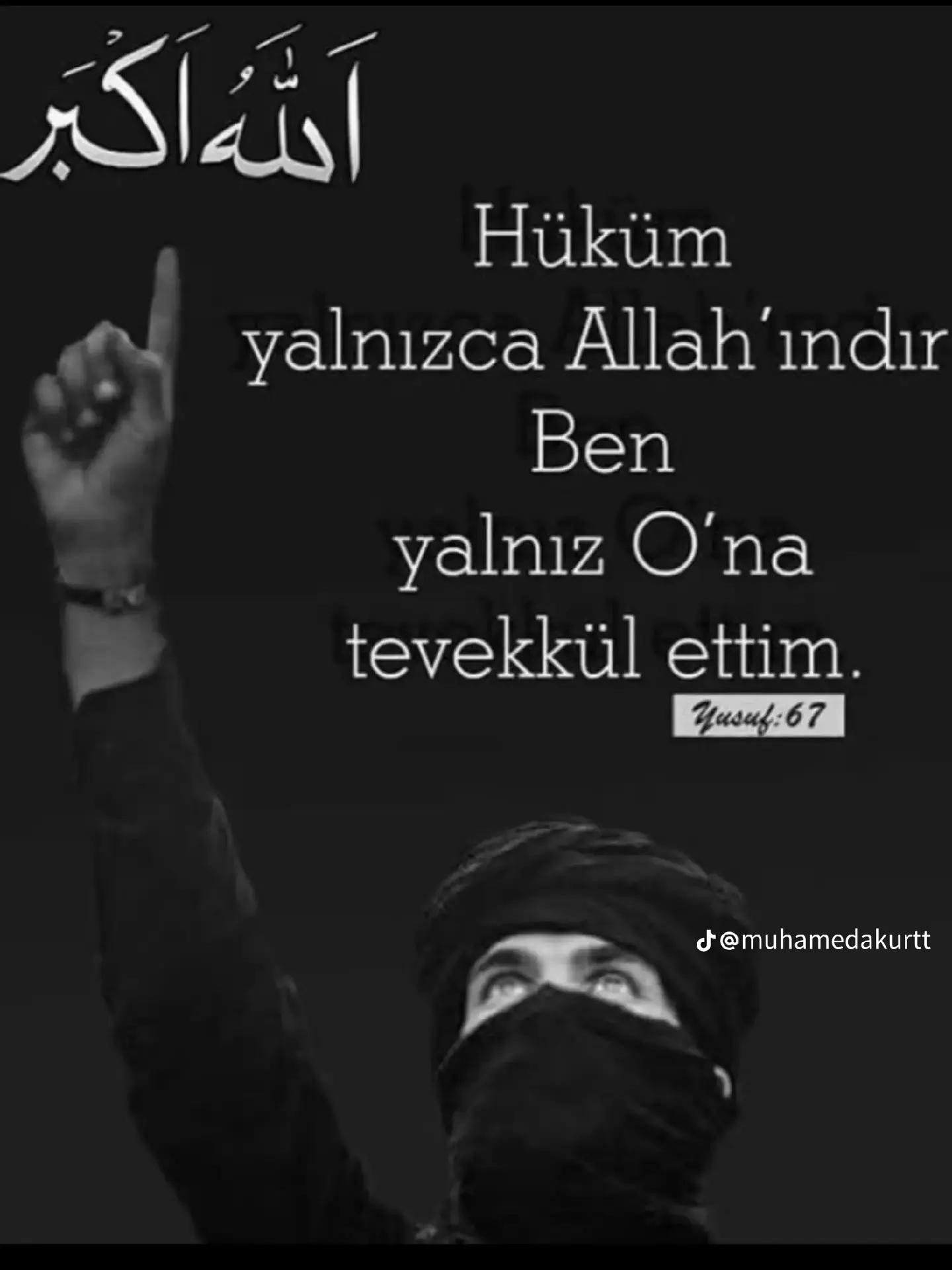 @Ömer Gök