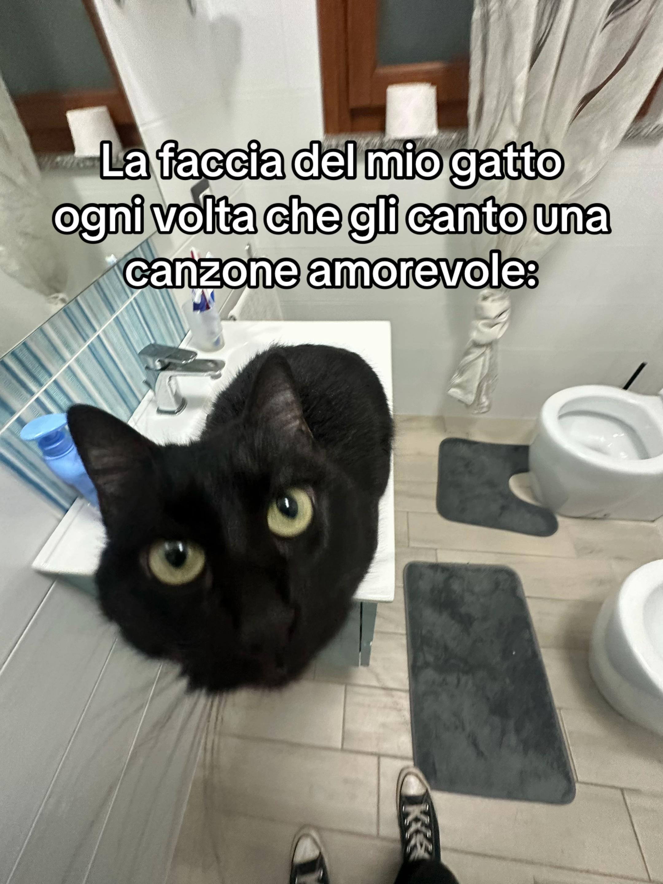 @hecatevila