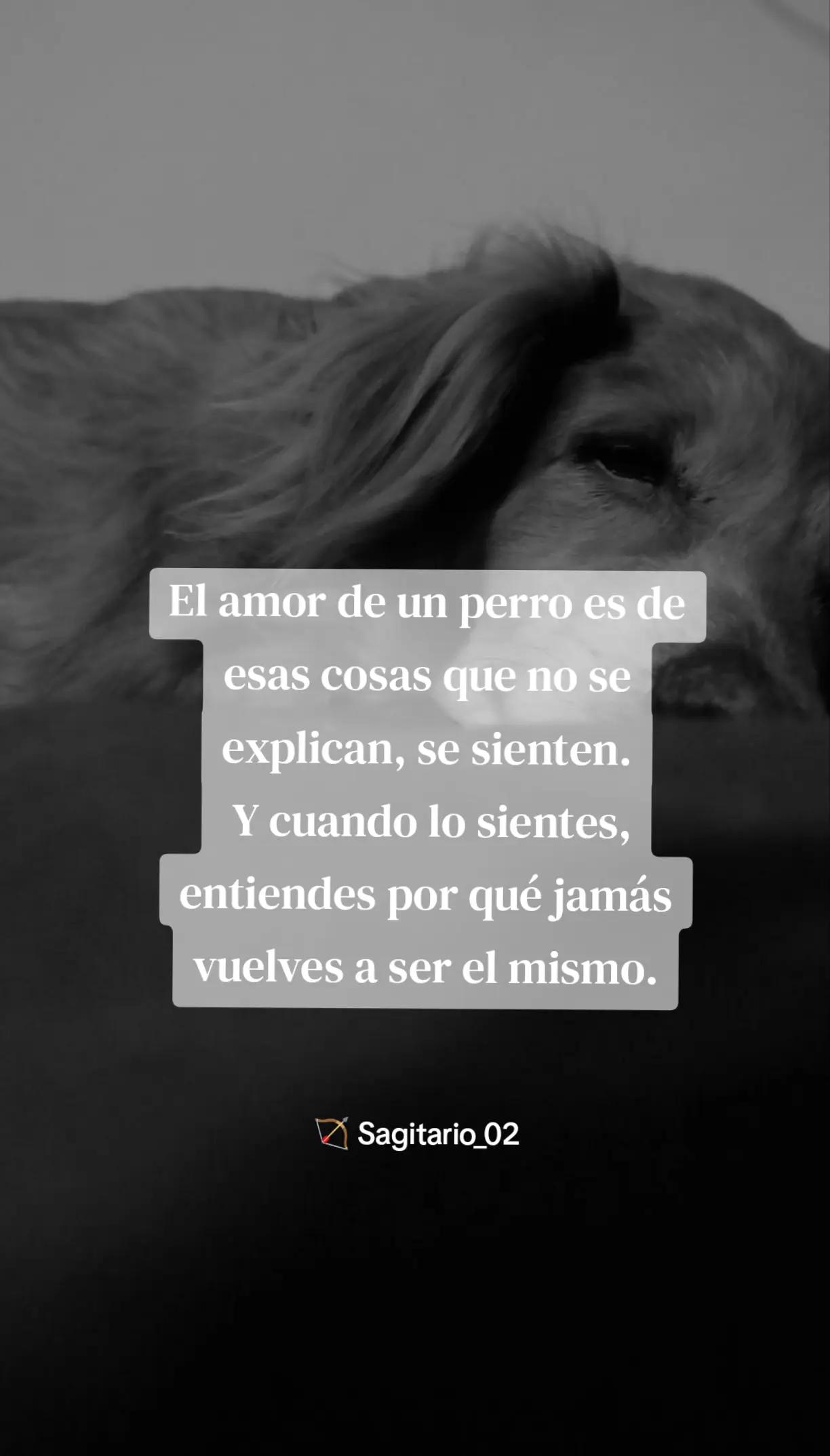 @Sagitario_02