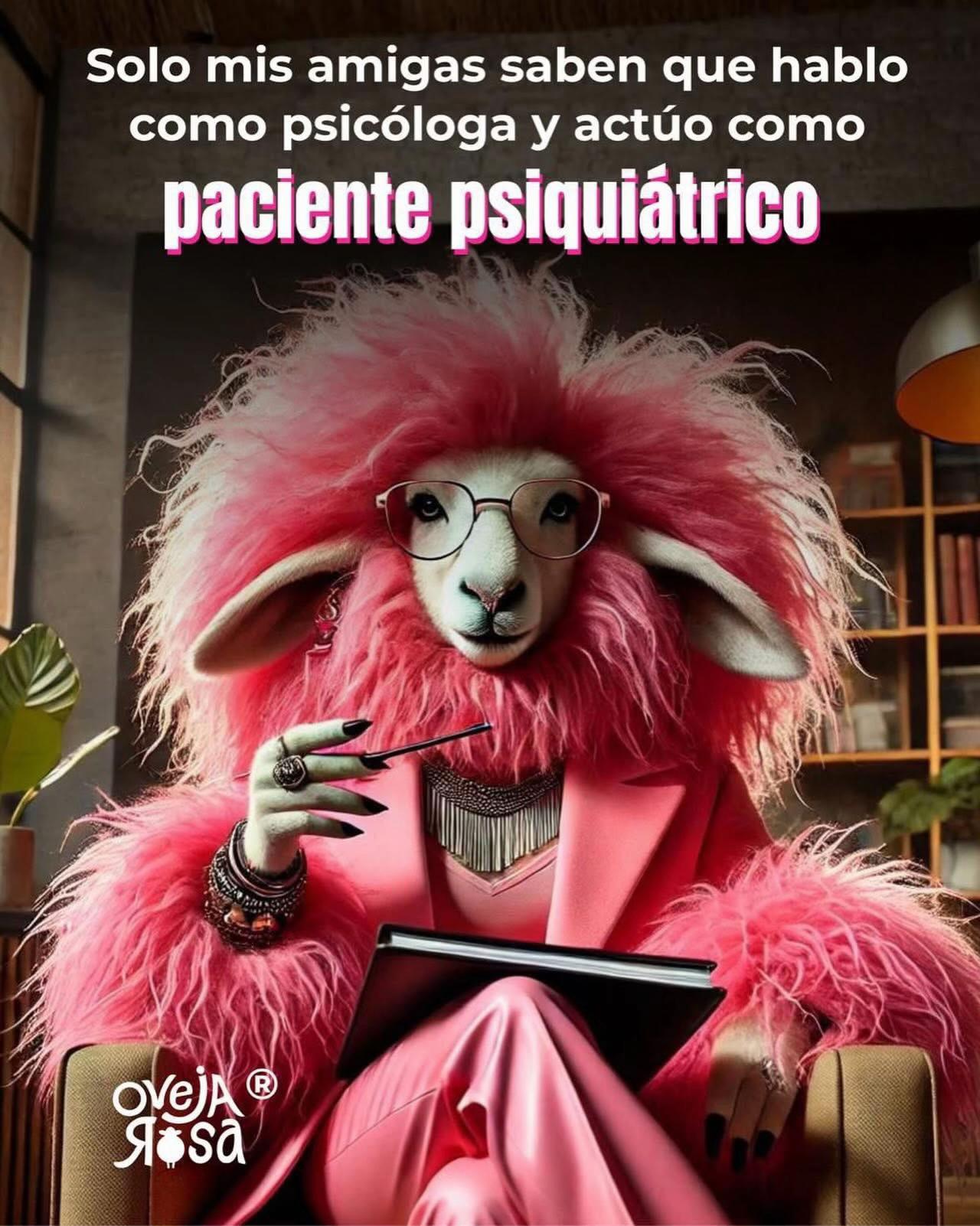 @𝓅𝒶𝓂𝑒𝓁𝒶 𝓋𝒶ldivieso✨💐