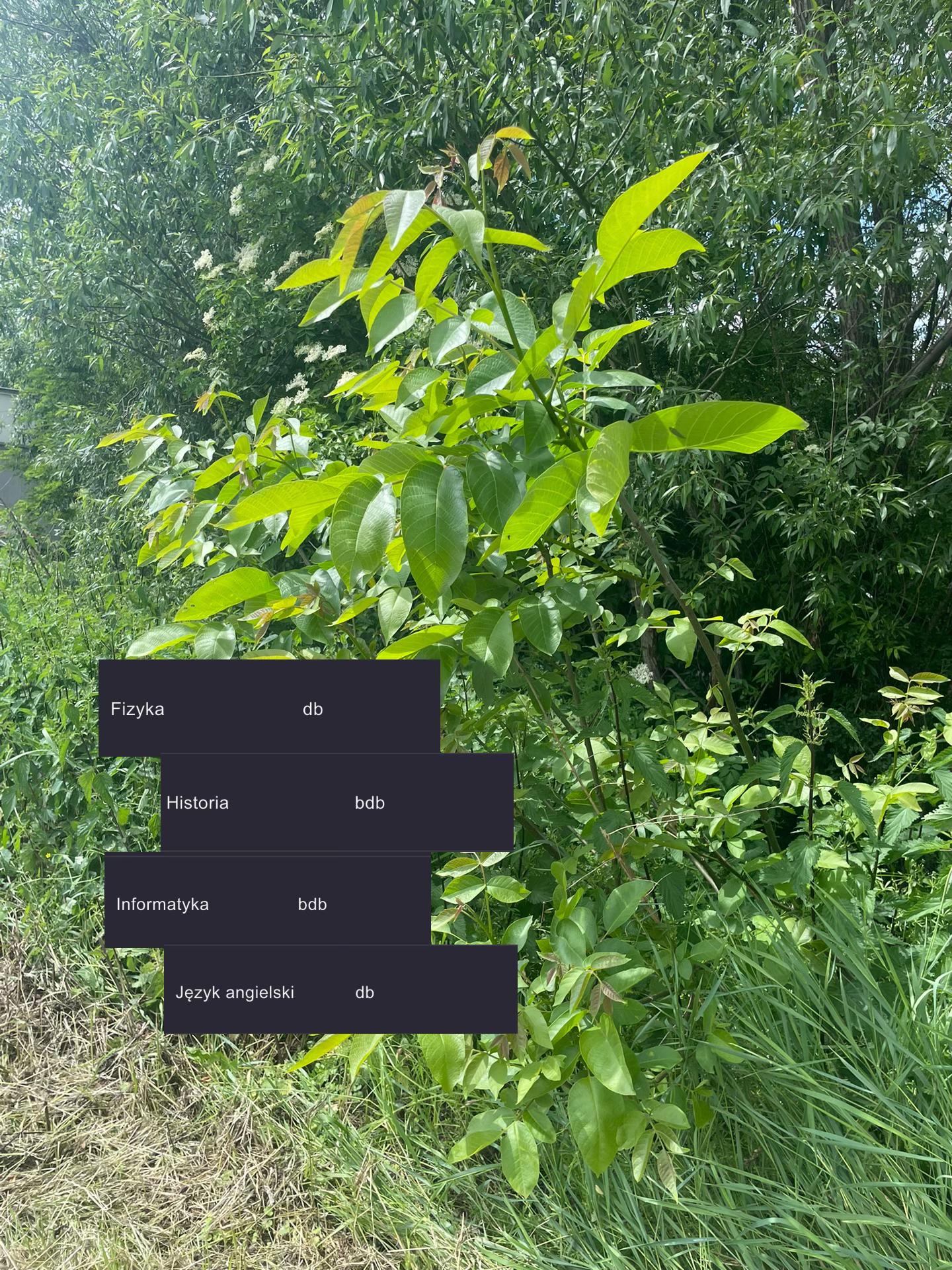 @𝕠𝕥𝕣𝕚𝕩𝕩𝕩