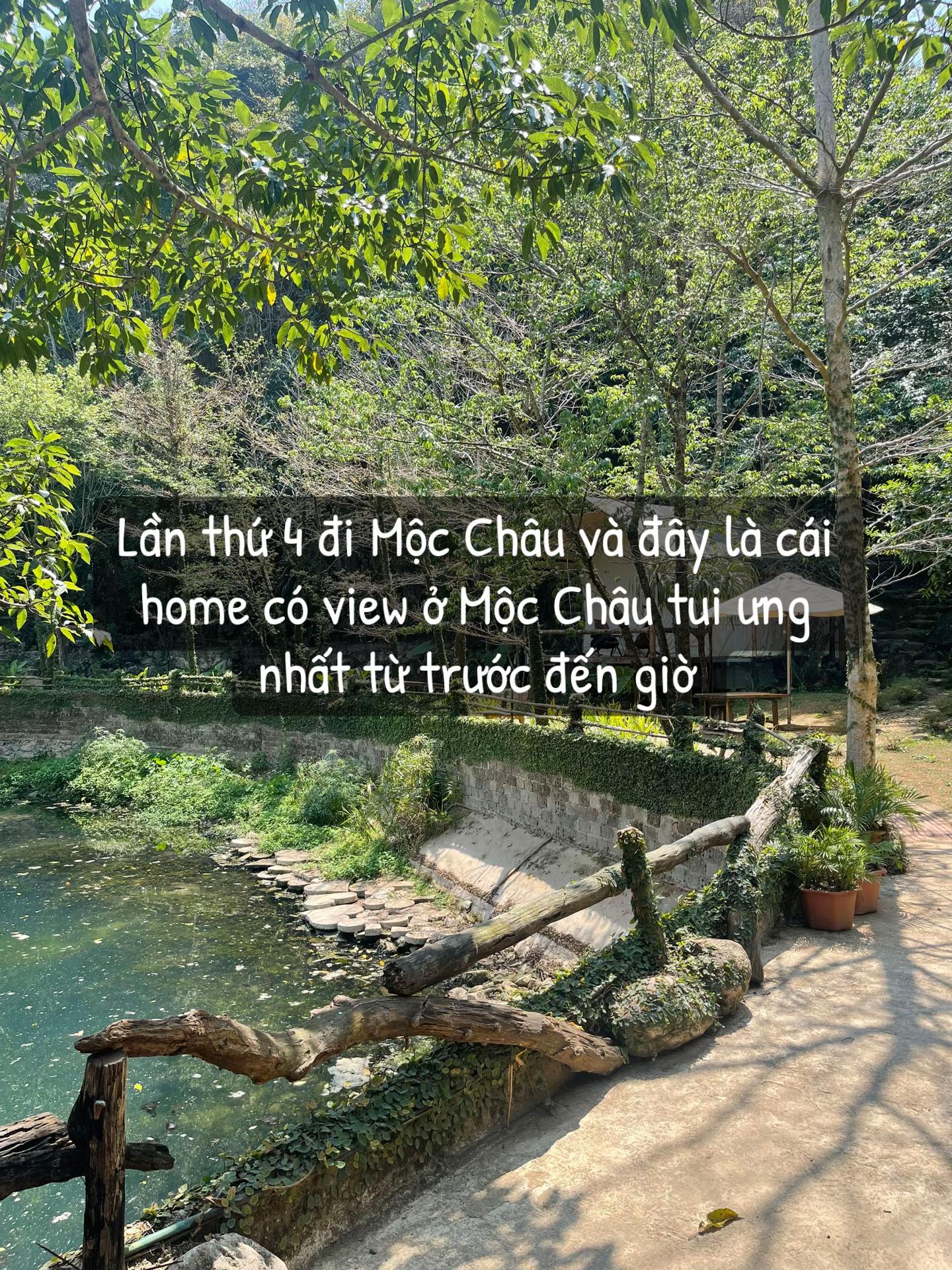 @Siren Chic