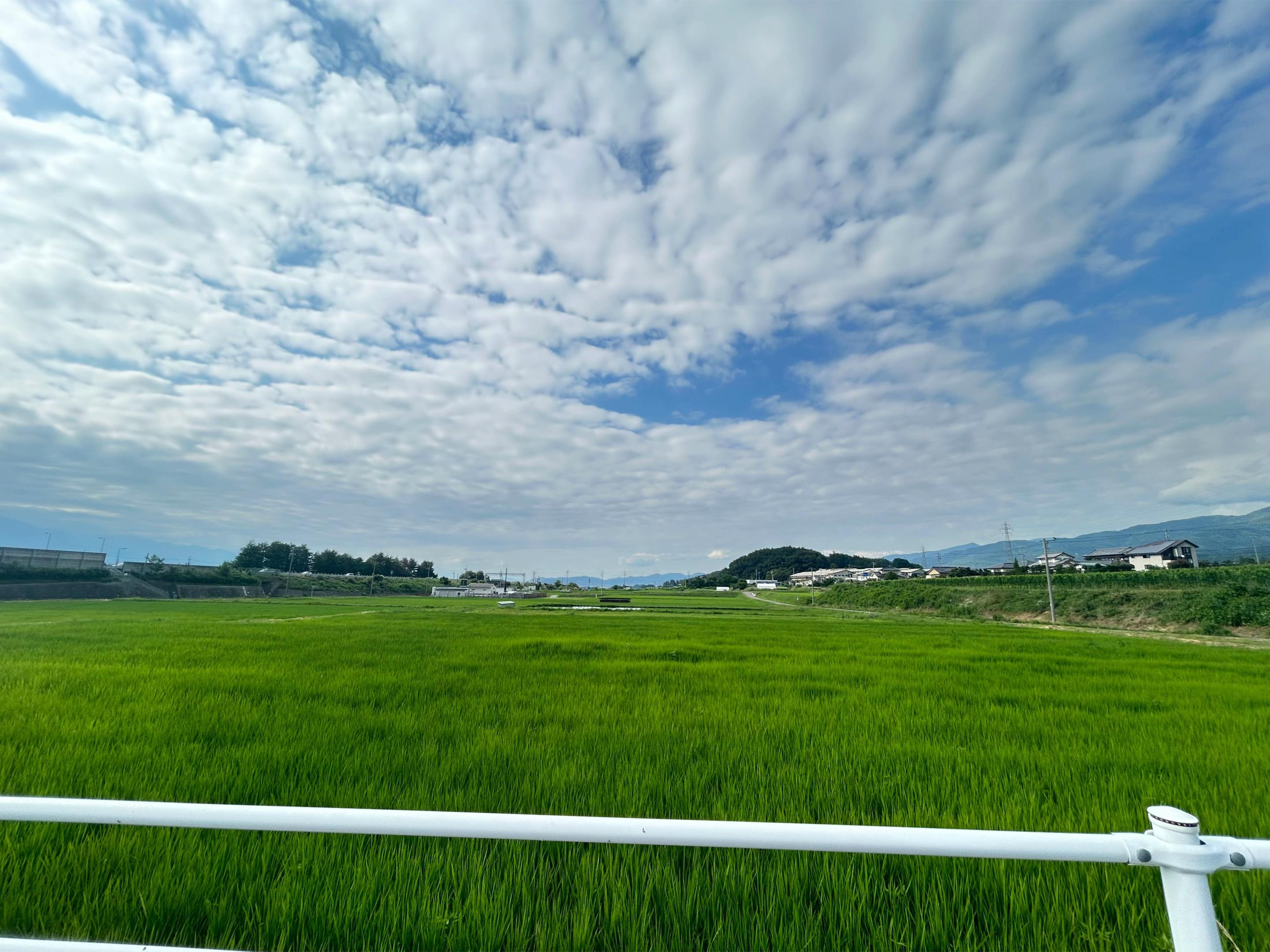 @こう#20