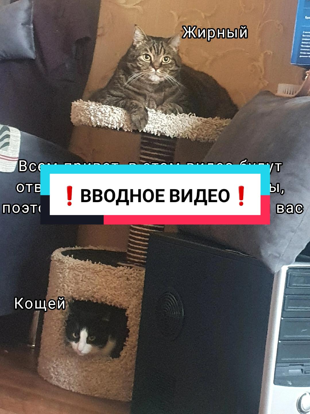 @Николай Георгиевич Срака
