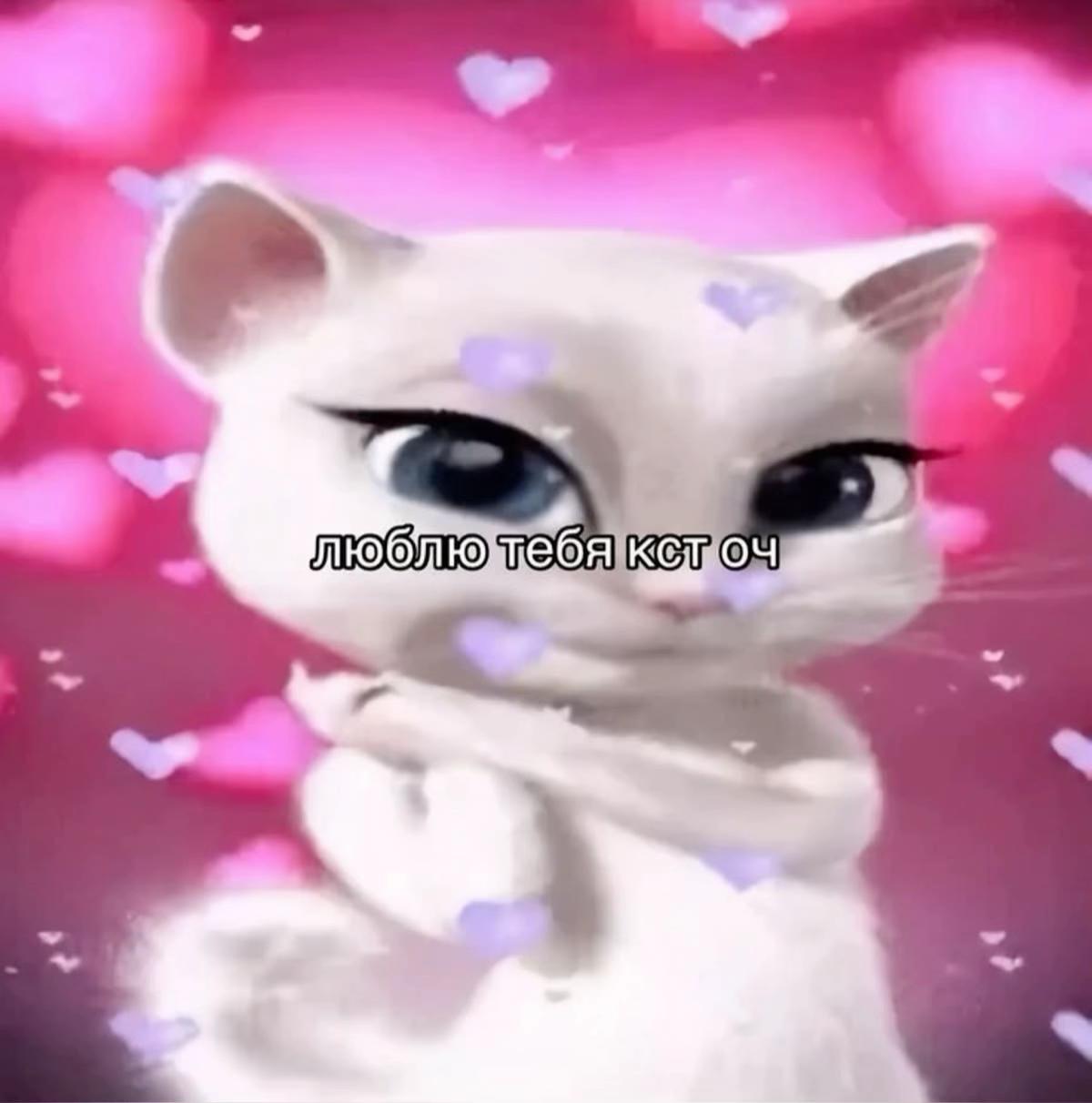 @🐈⬛🐈⬛🐈⬛