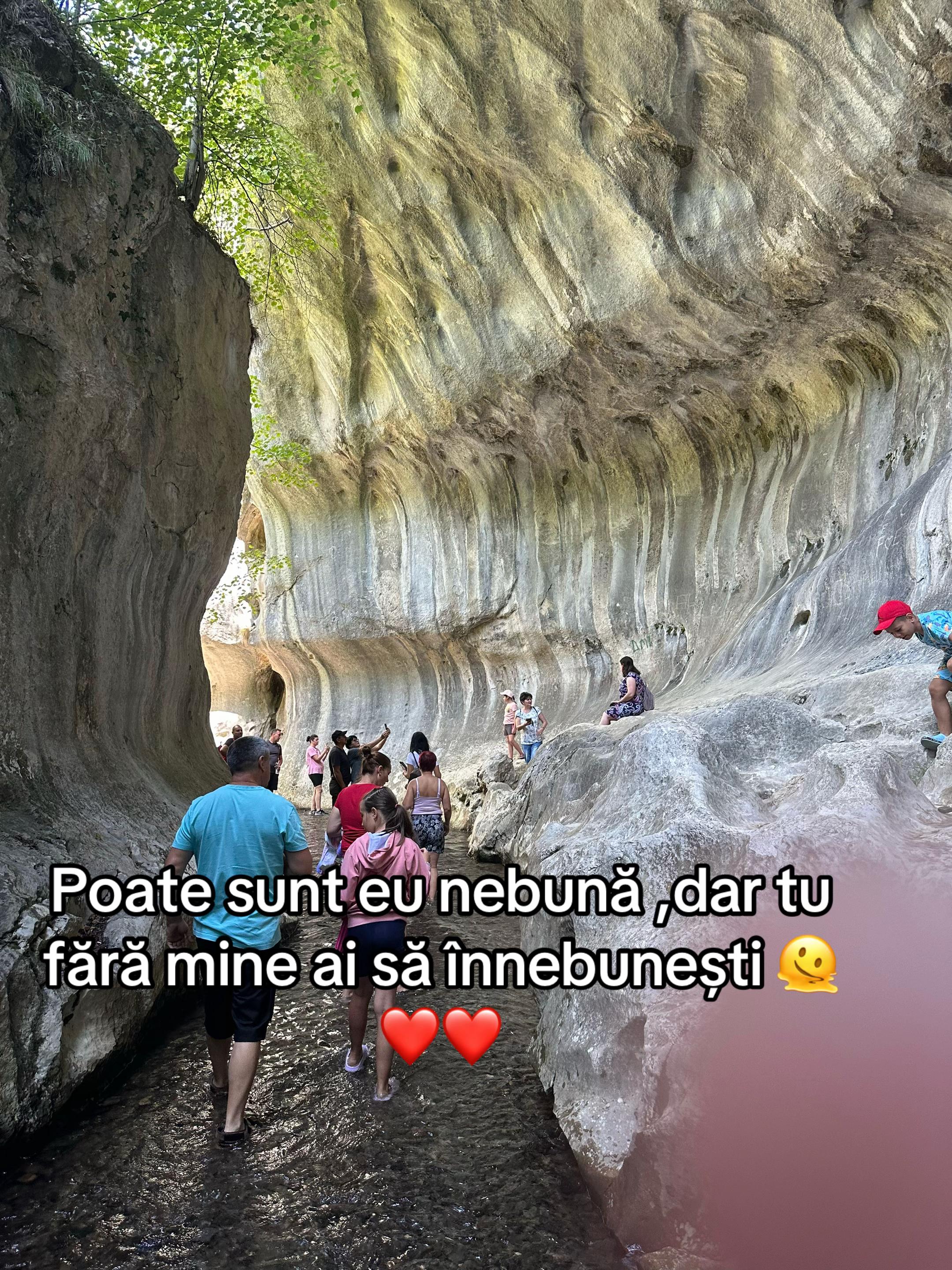 @MIHAELA