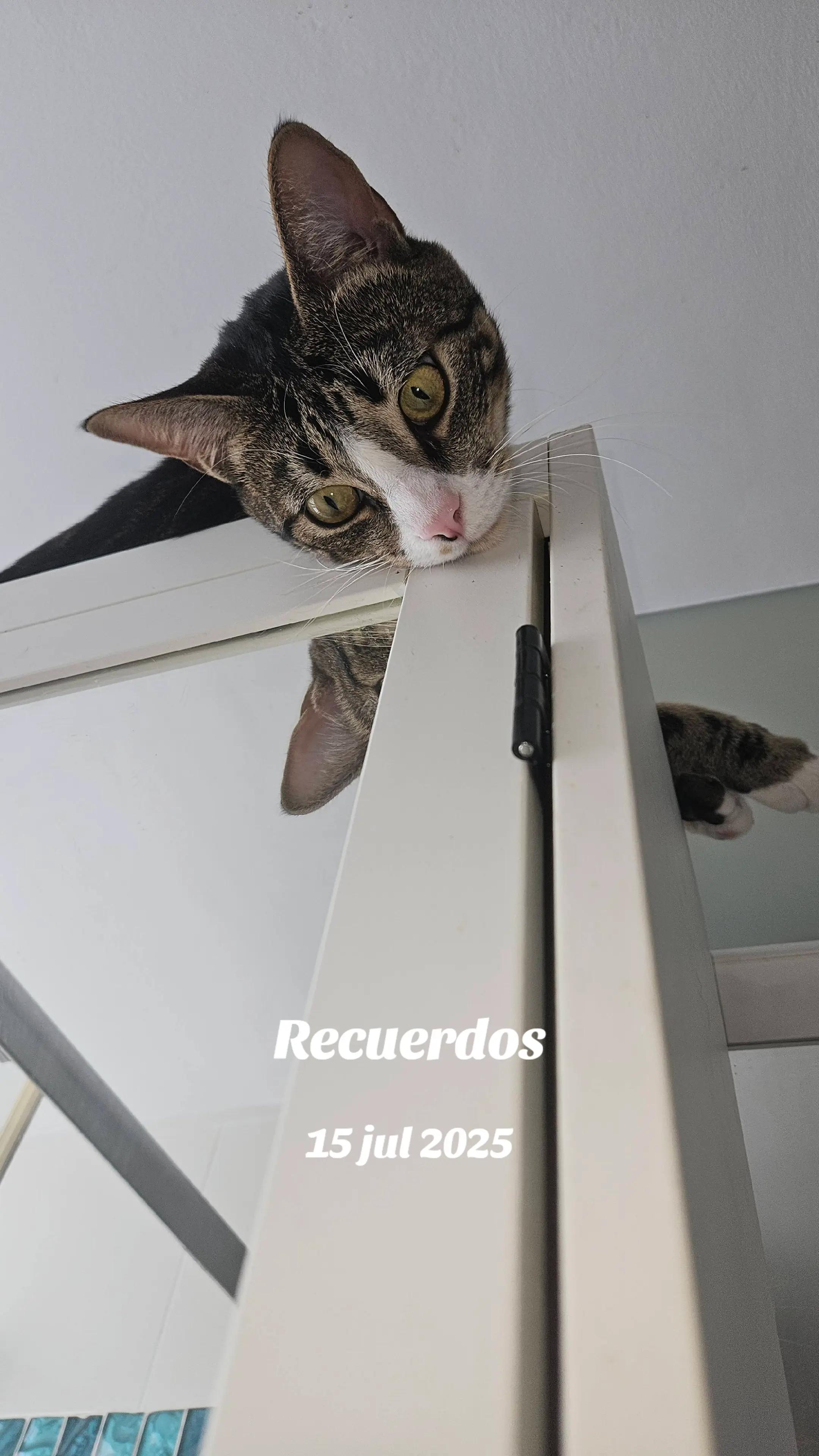 @Guardián de mis pensamientos