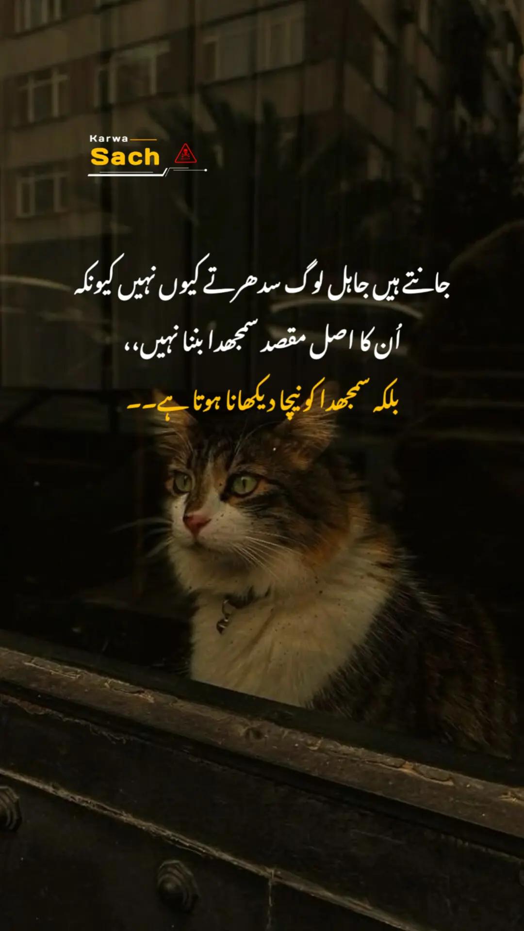 @Karwa Sach🐎