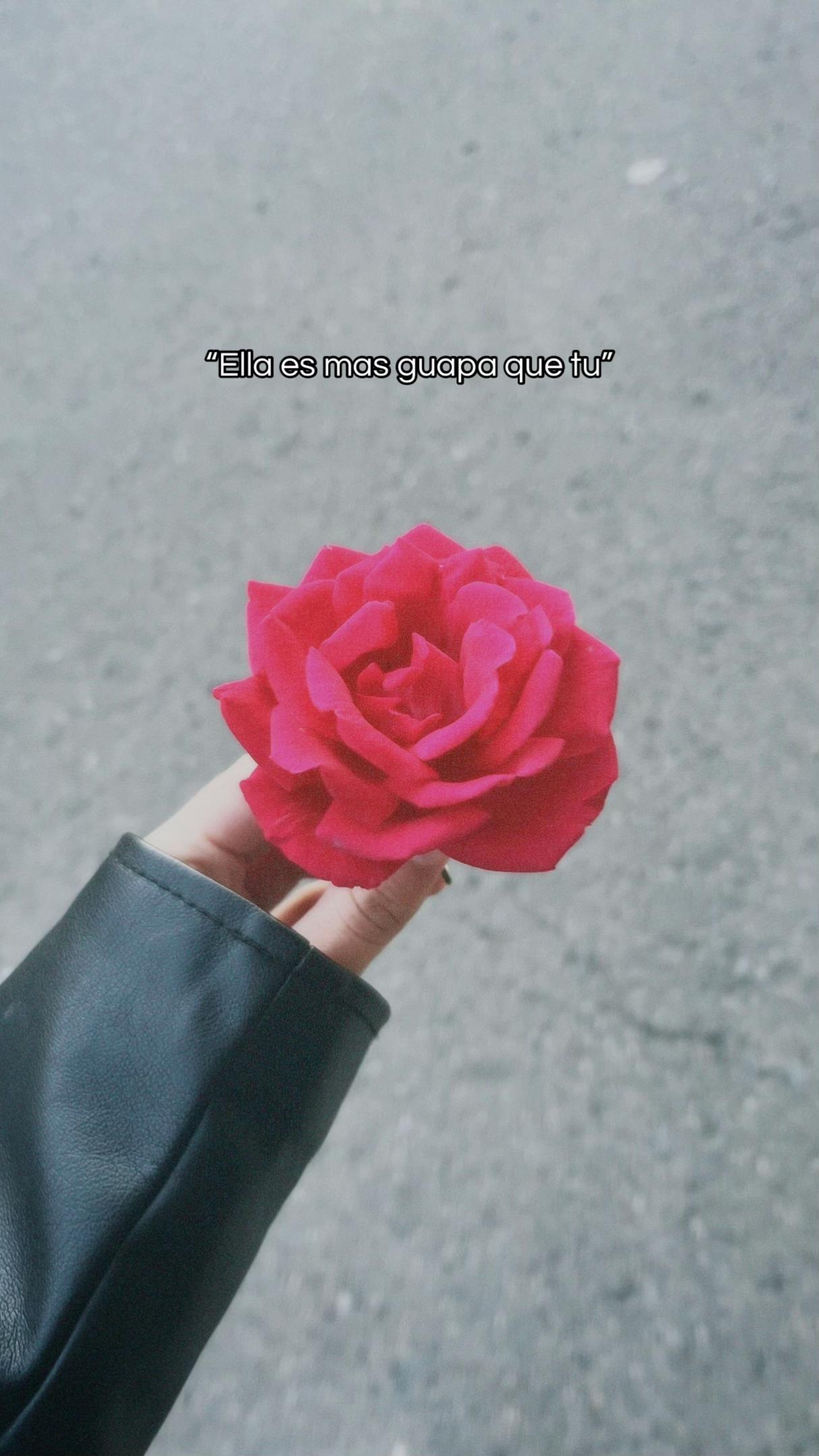 @𝓐ᥫ᭡.
