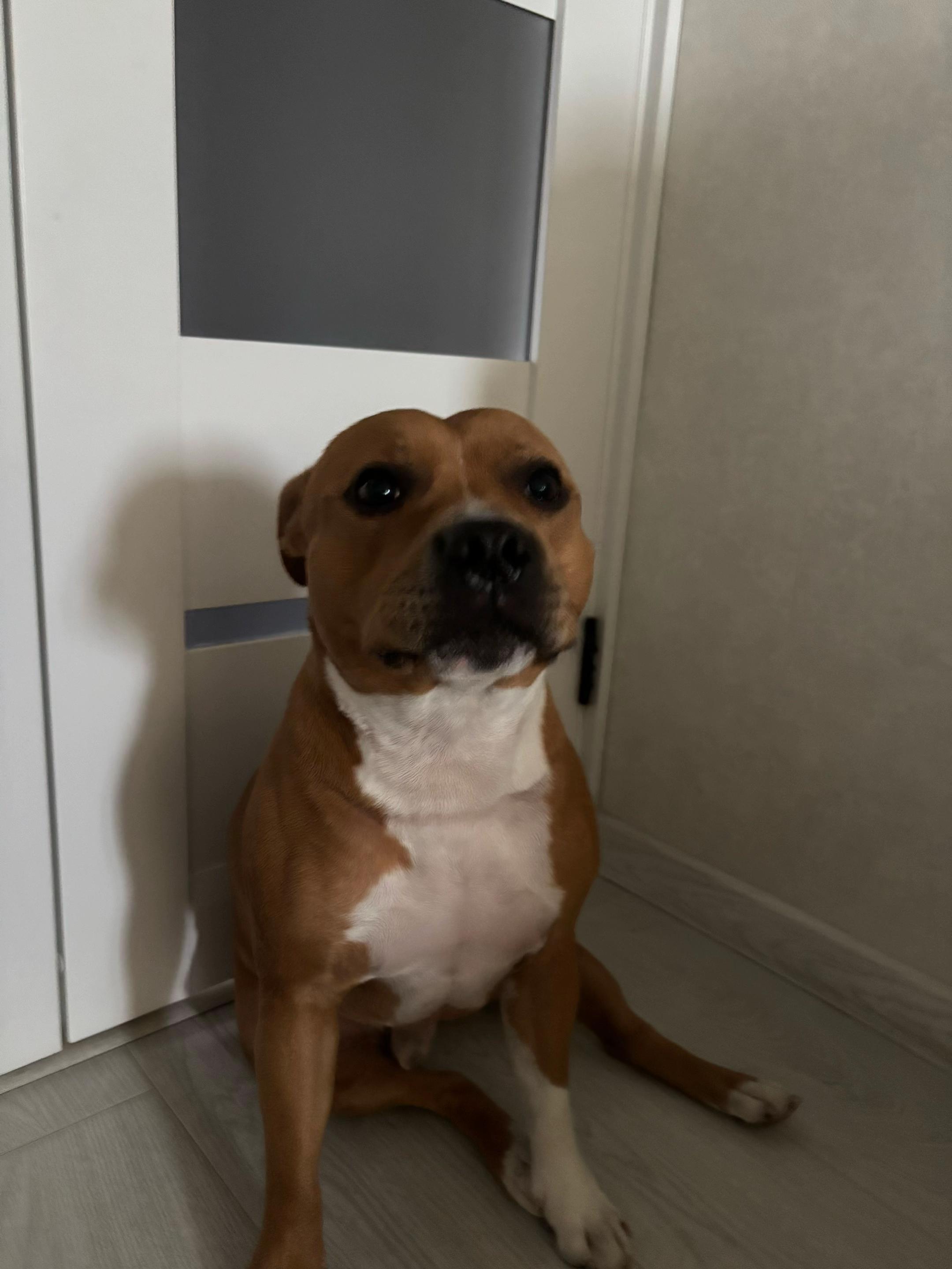 @Eva🐾Mira