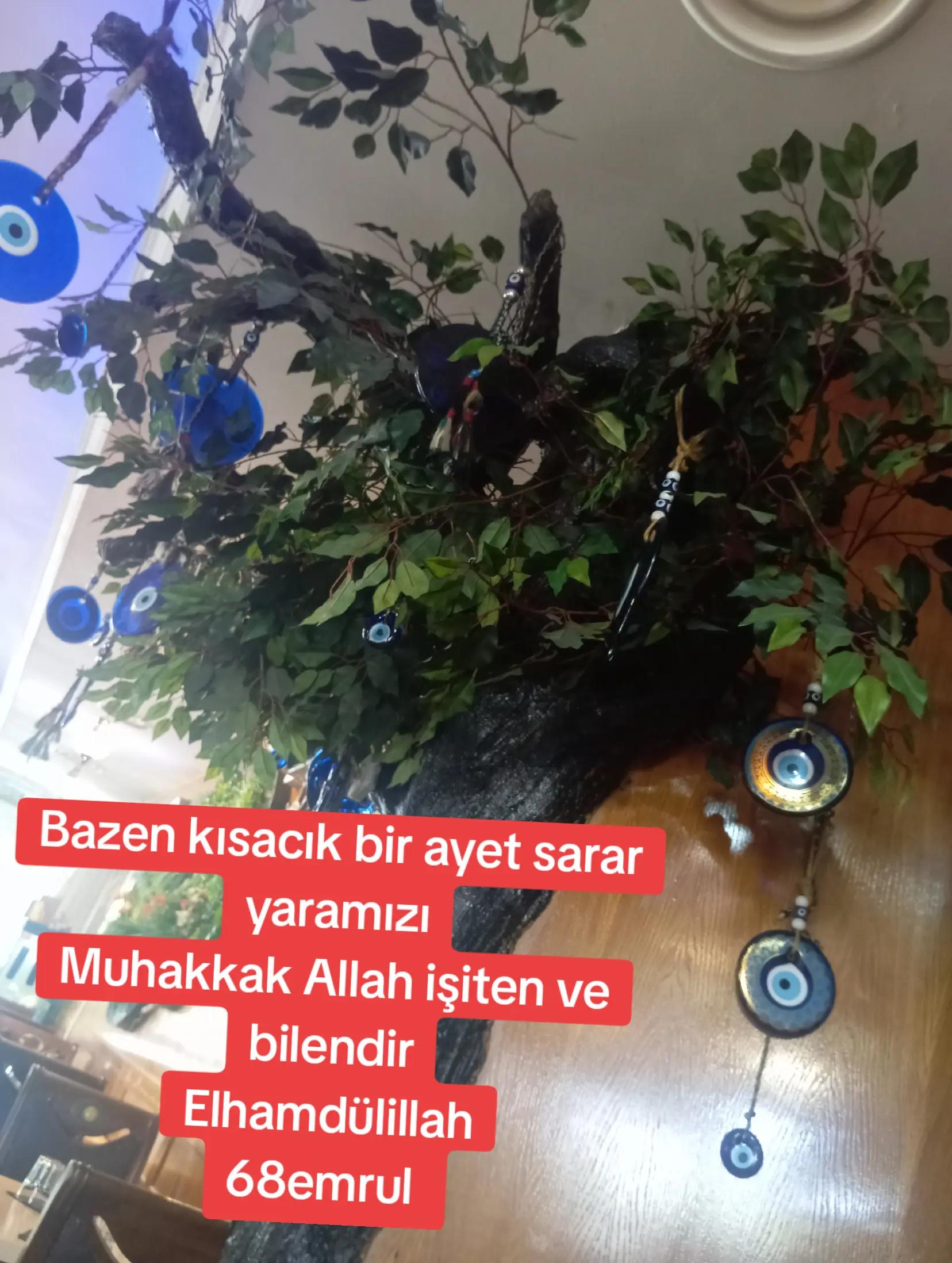 @68emrul