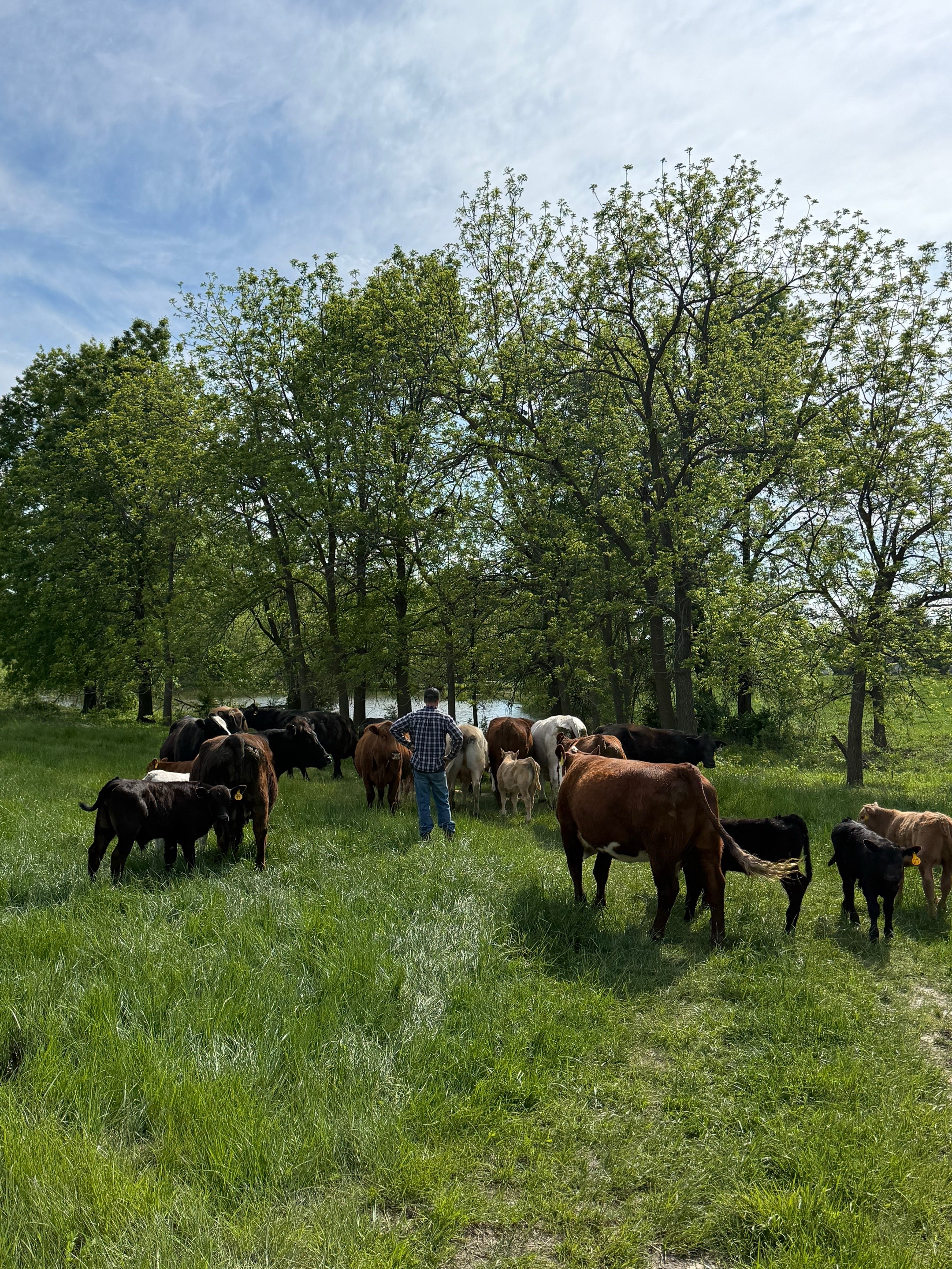 @kl2farms