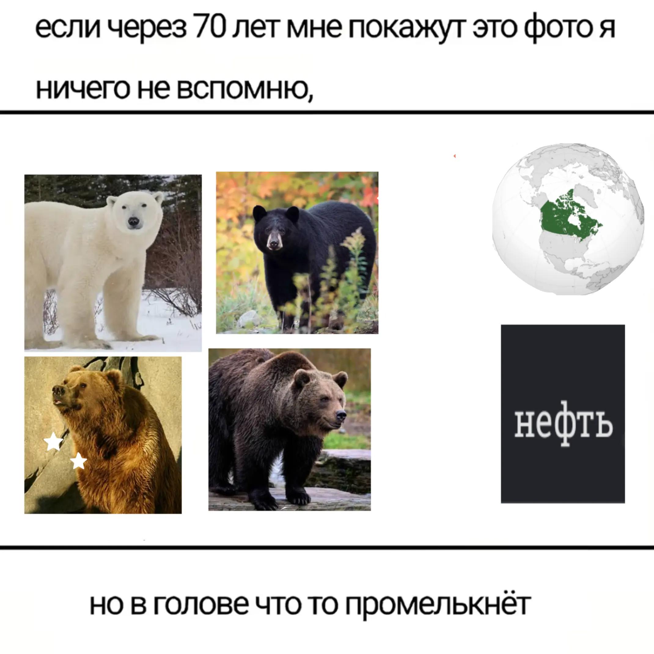 @Шарф ☮️.