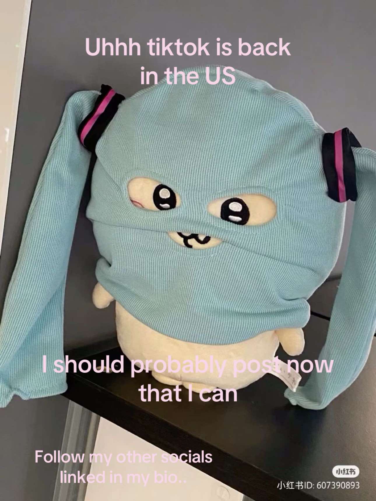 @Minibunnii