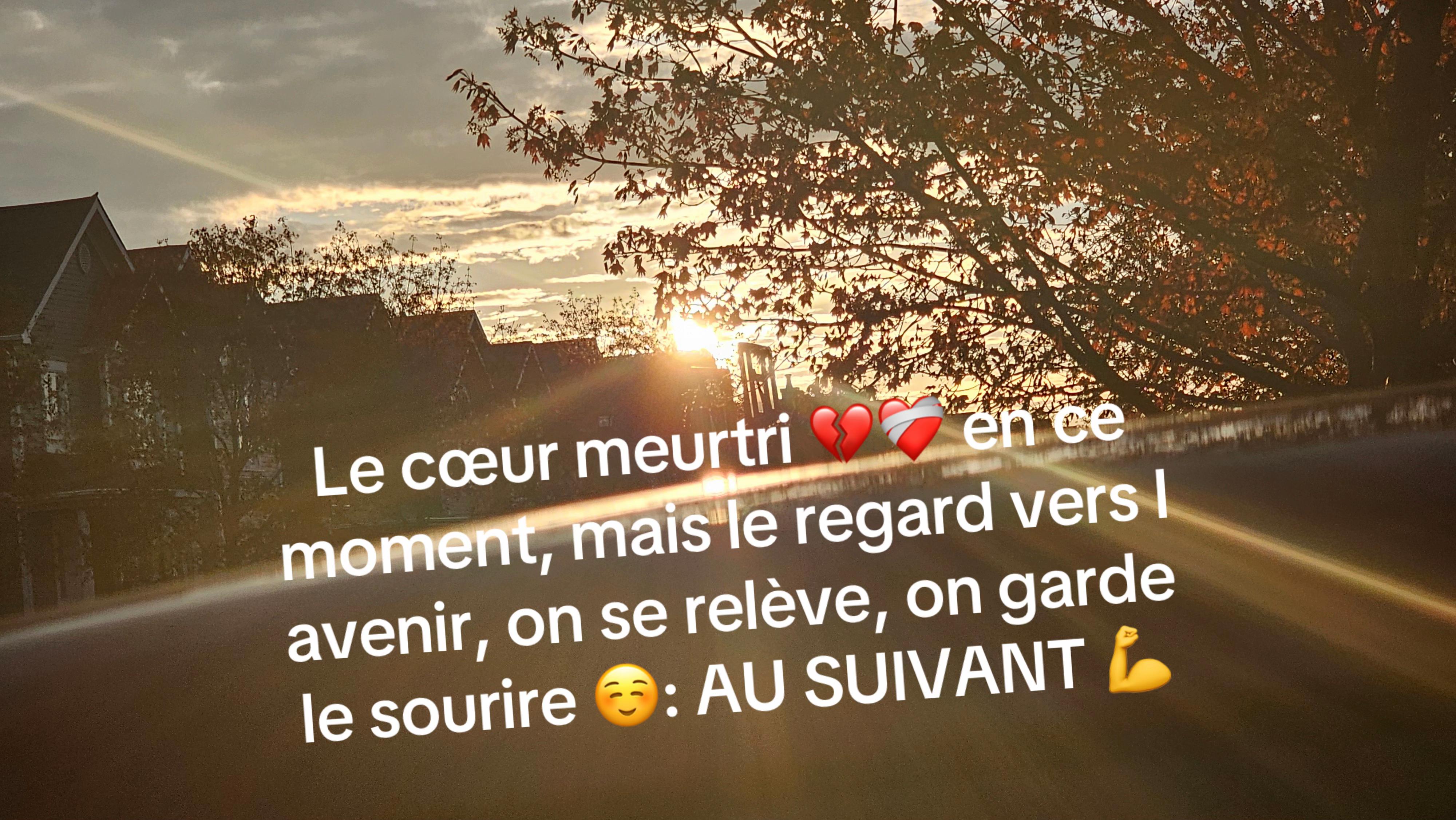 @docteurloove66tv