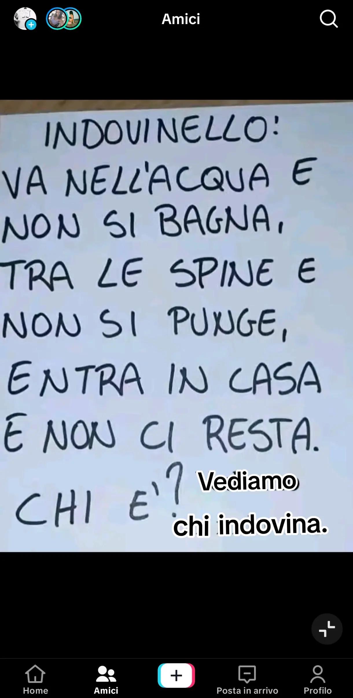 @Leonardo Pacino