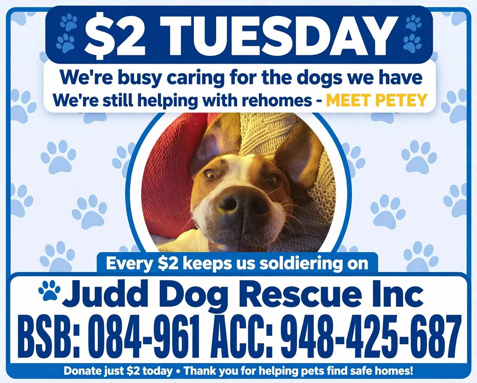 @Judd (just us deserving dogs)