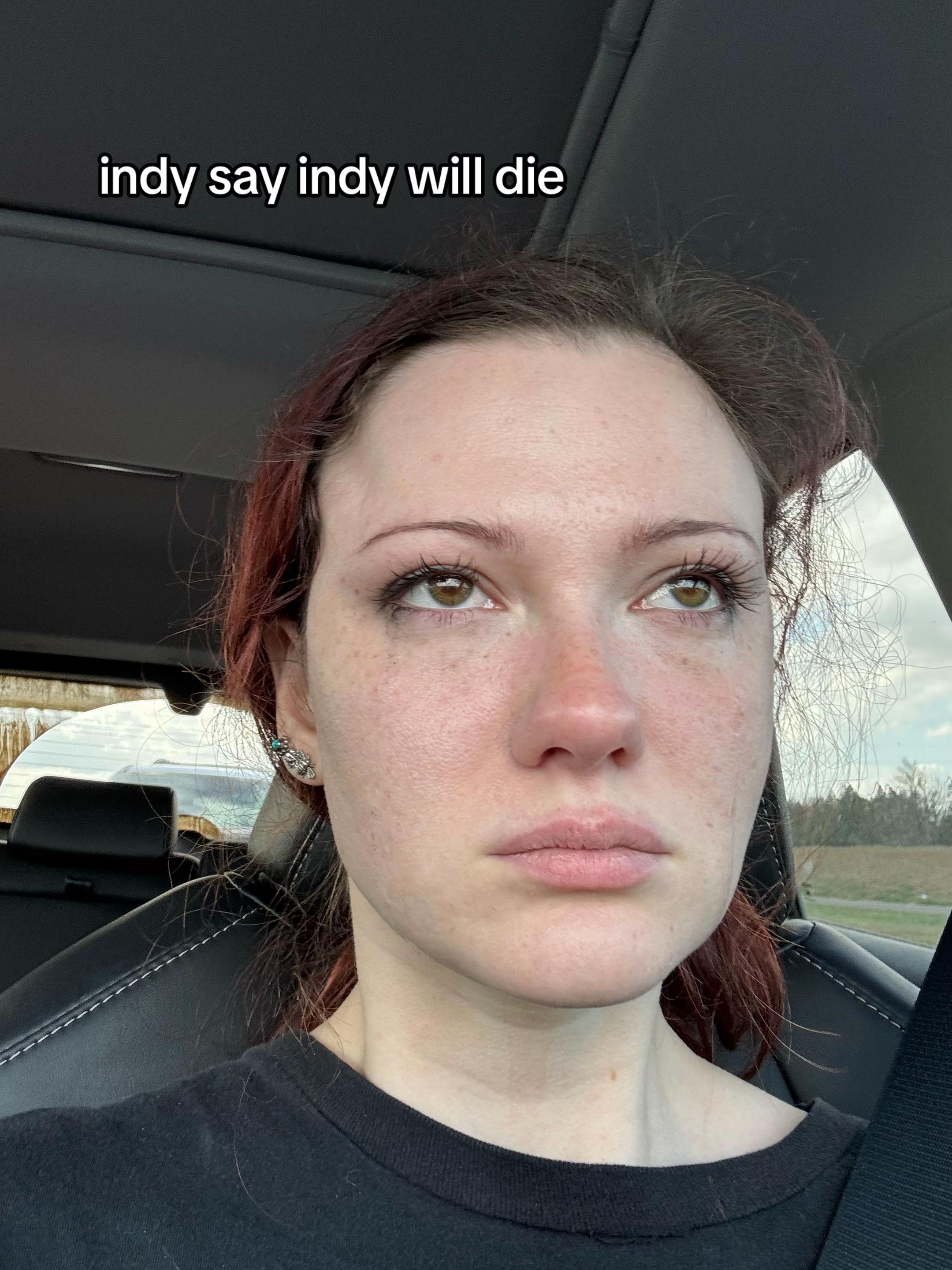 @indy 🪲