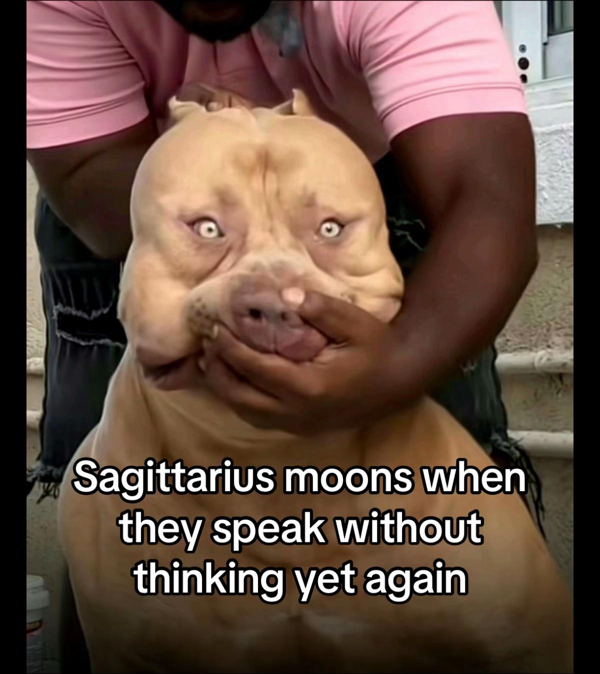 @Sagmoonluvme