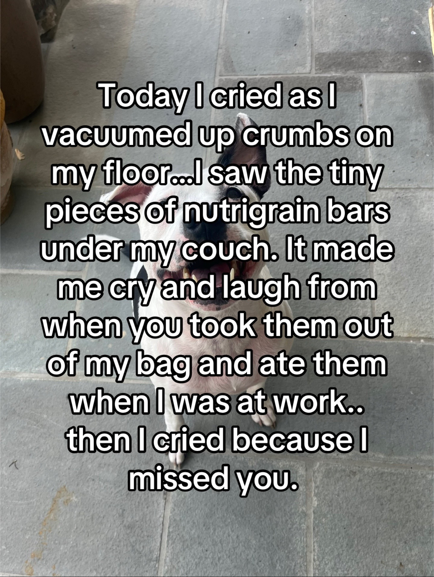 @Ali 🆘🕯️