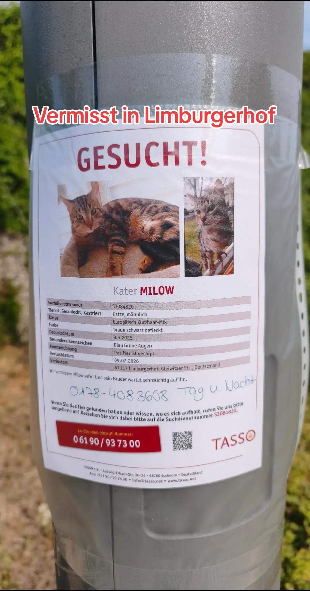 @ICH BIN'S