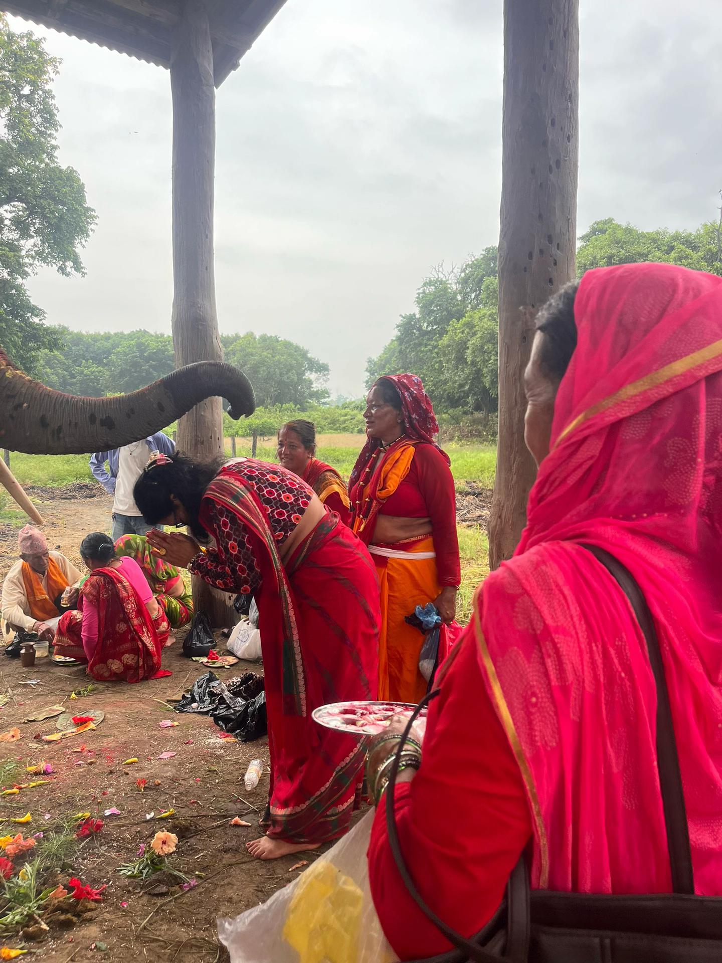 @yashodakunwar